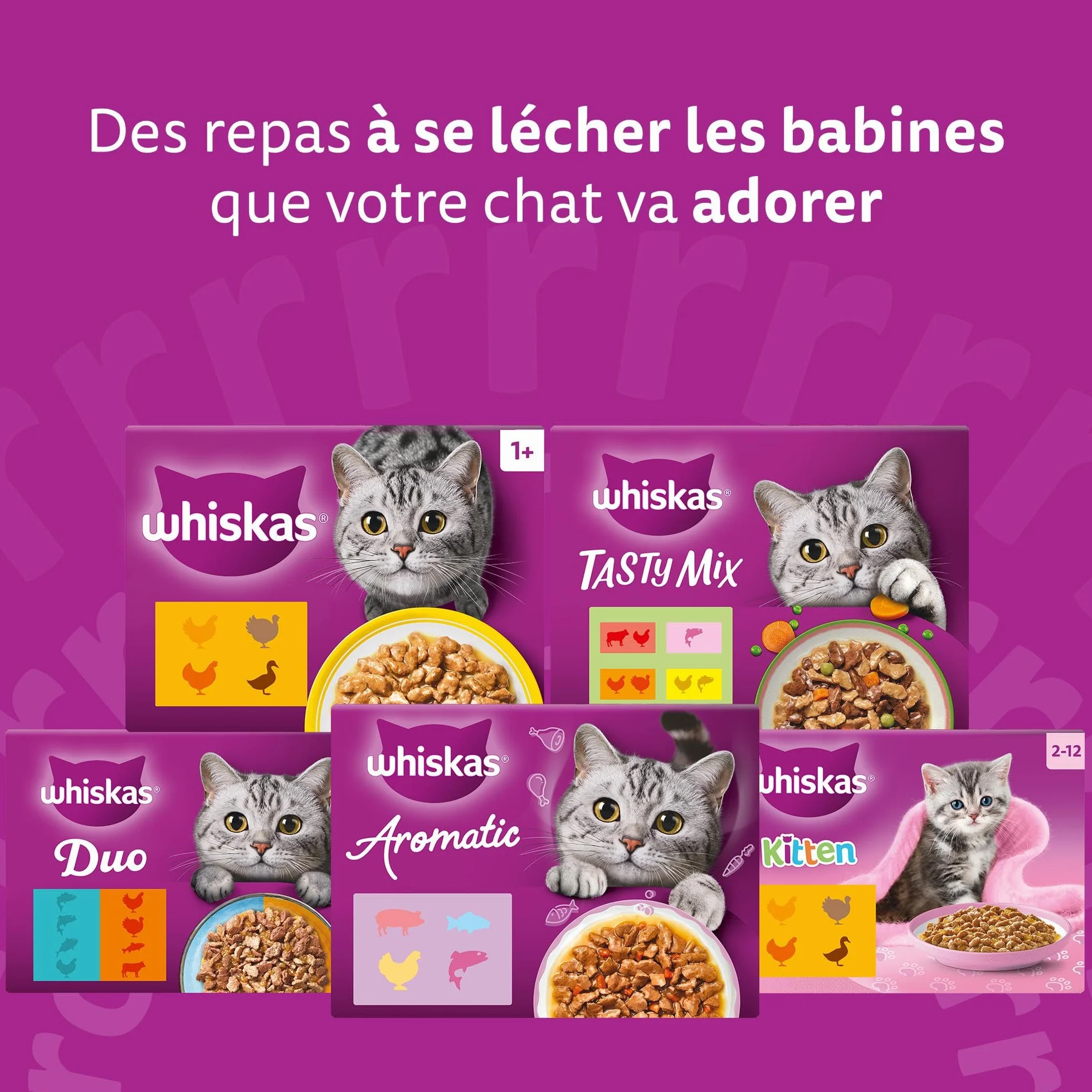 WHISKAS Aliment humide en gelée Chat junior 12x85g Festins à la Volaille Lot de 4 48 Sachets