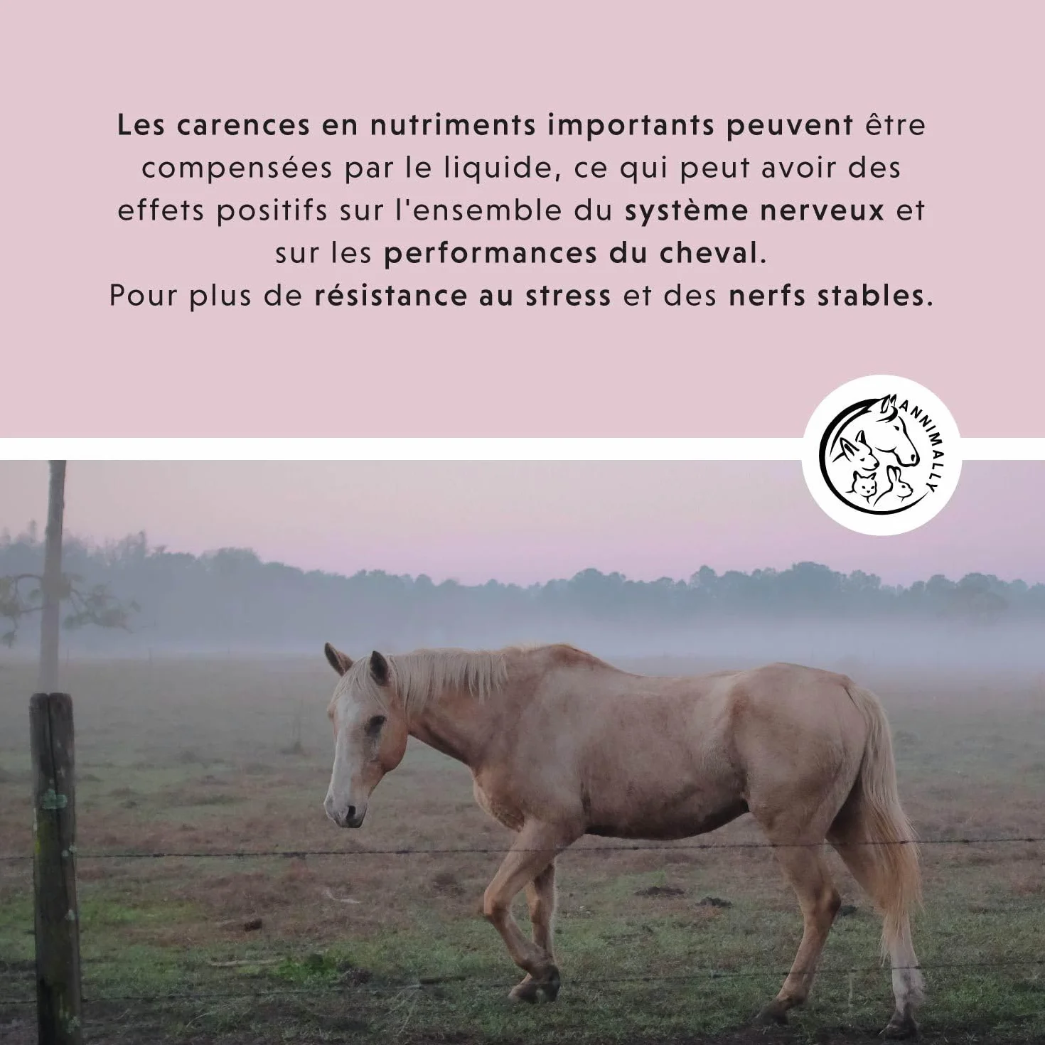 Relax Liquid pour Chevaux 1000ml Sirop Apaisant avec Valériane, Houblon, Tryptophane, B12, Magnésium et Calcium Liquide