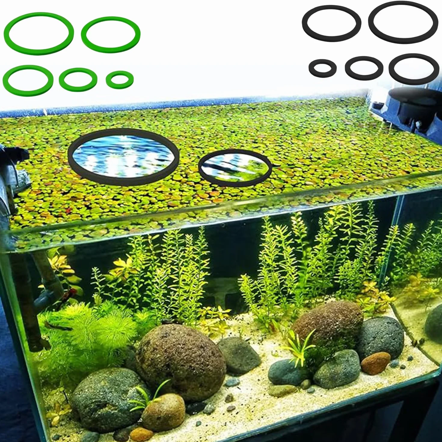 Lot de 10 Anneau Plante Flottante, Anneaux De Plantes pour Aquarium, Corral De Plantes Flottante, Anneau d'alimentation Aquarium, Rond Anneau d'alimentation pour Poisson (5 Tailles-Noir & Vert)