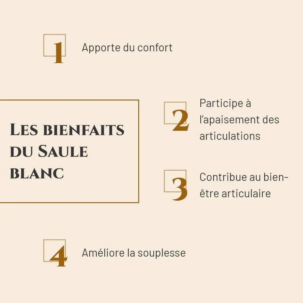 SAULE BLANC Complément nutritionnel Cheval Seau 1 kg Confort articulaire