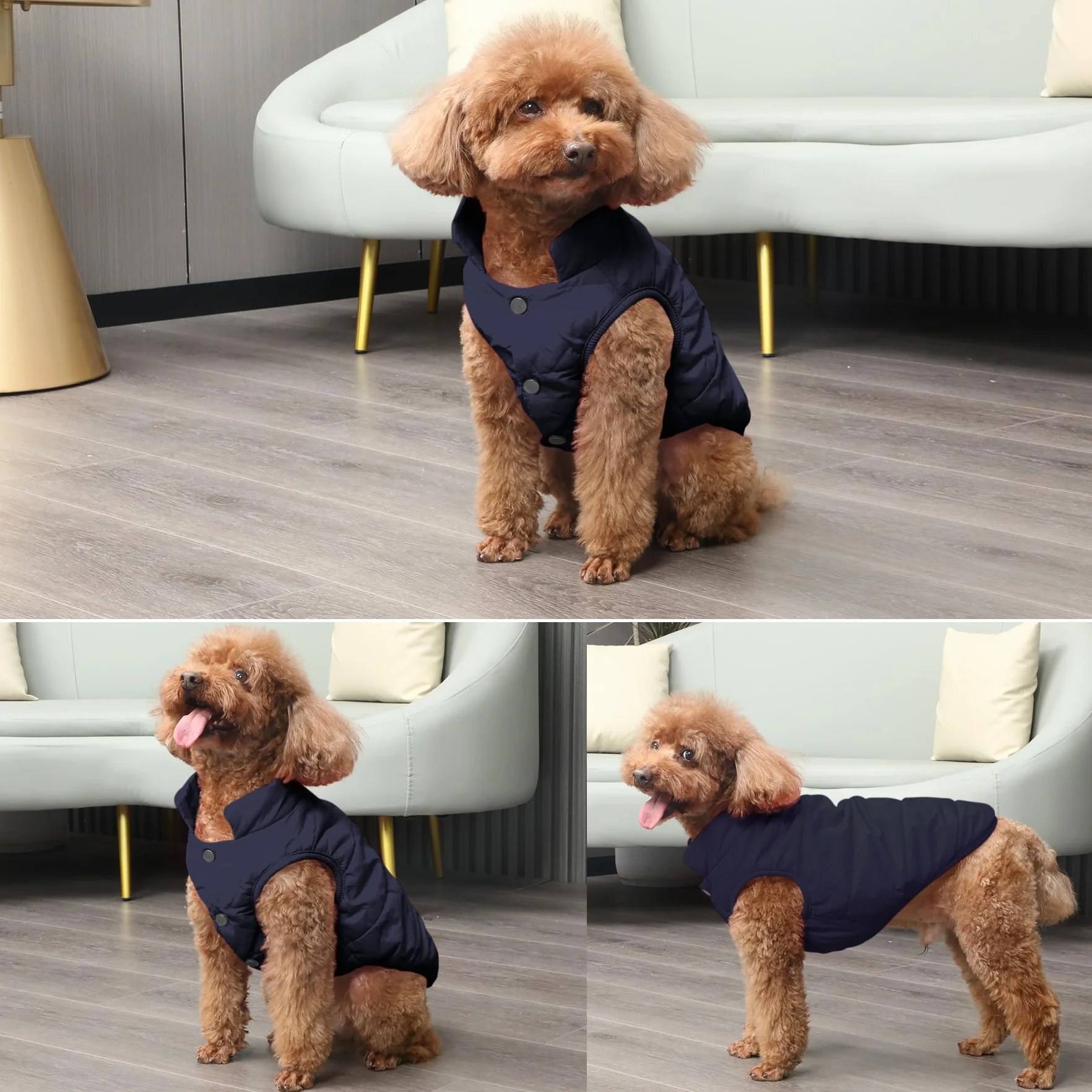 Joydaog Manteau coupe-vent chien 2 couches doublure polaire extra-chaude