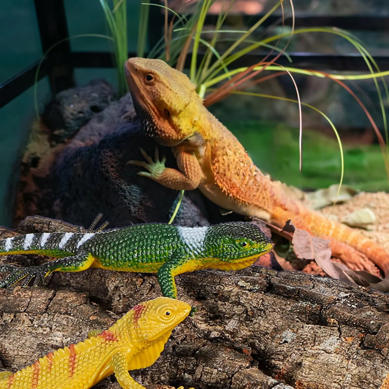 DOITOOL Écorce de liège pour Reptile 4 pièces Fond Terrarium 15 x 15 cm Naturelle décoration Tapis d'escalade