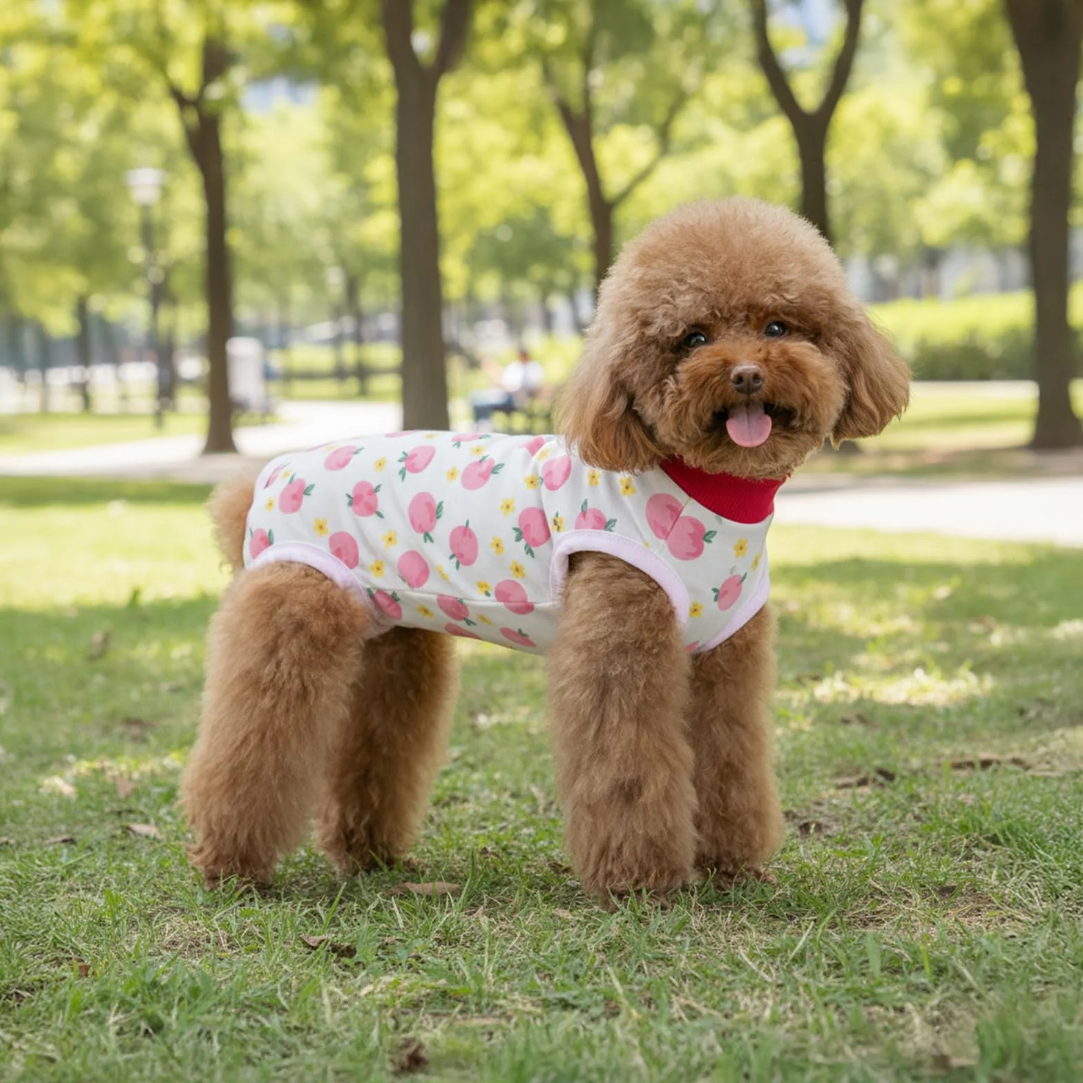 Combinaison de Récupération pour Chiens Chats Après Chirurgie, Body Post Opératoire pour Chien Petite Moyenne Taille