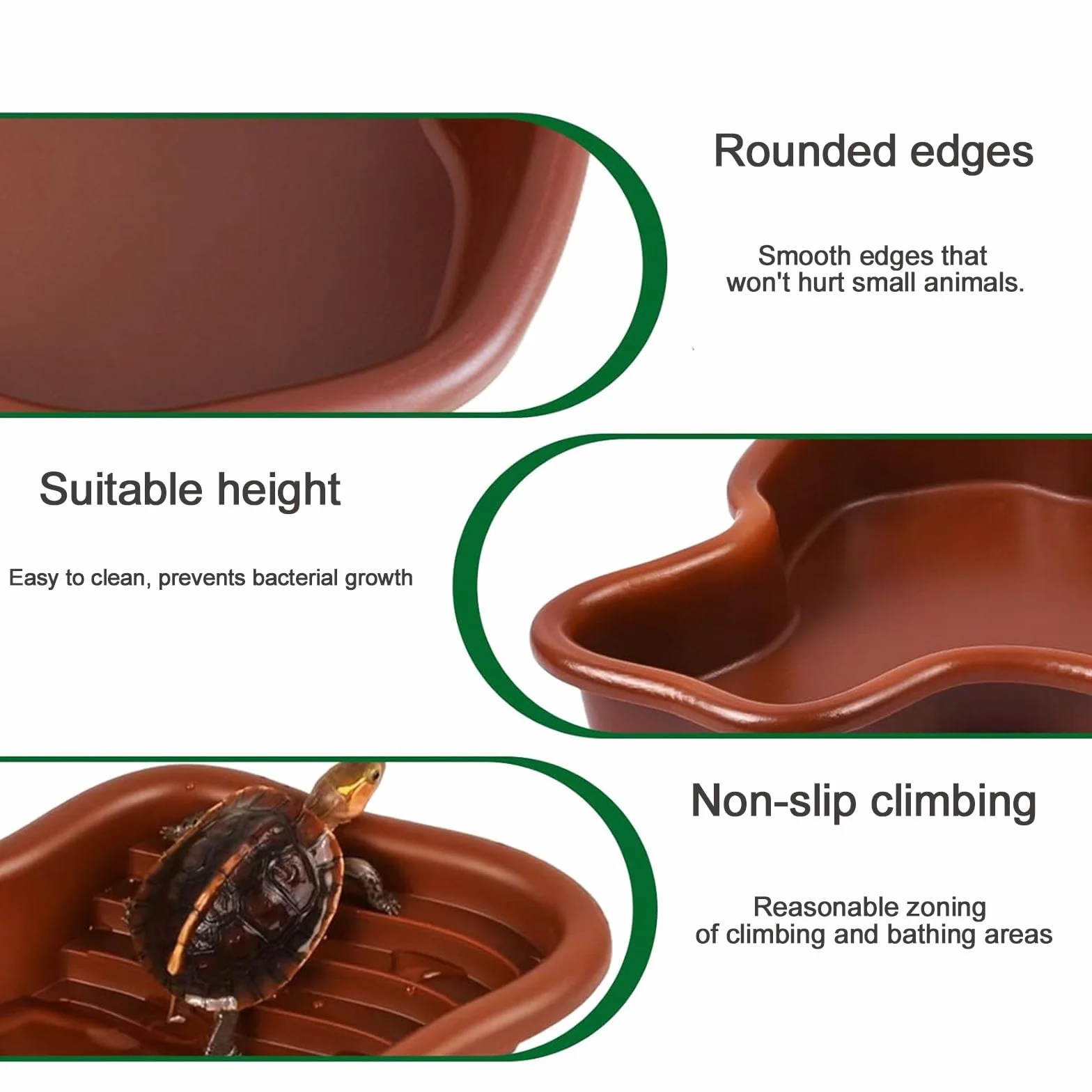 Plat d'eau pour Reptiles, Tortues avec Rampe, Bain Amphibiens Lézards, Ornement d'aquarium