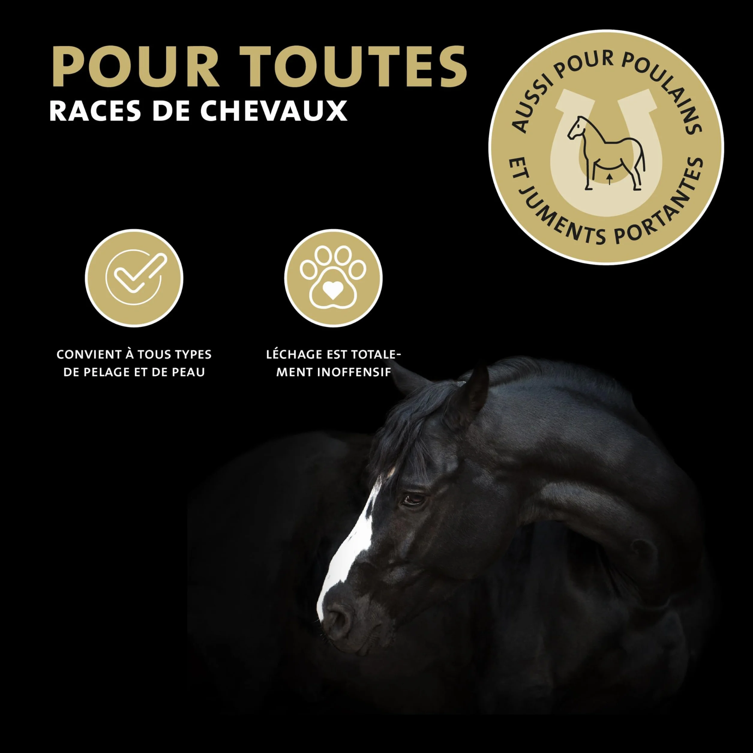 Peticare Lotion antiparasitaire pour Chevaux – PRS à libération prolongée – Contre acariens, puces, champignons
