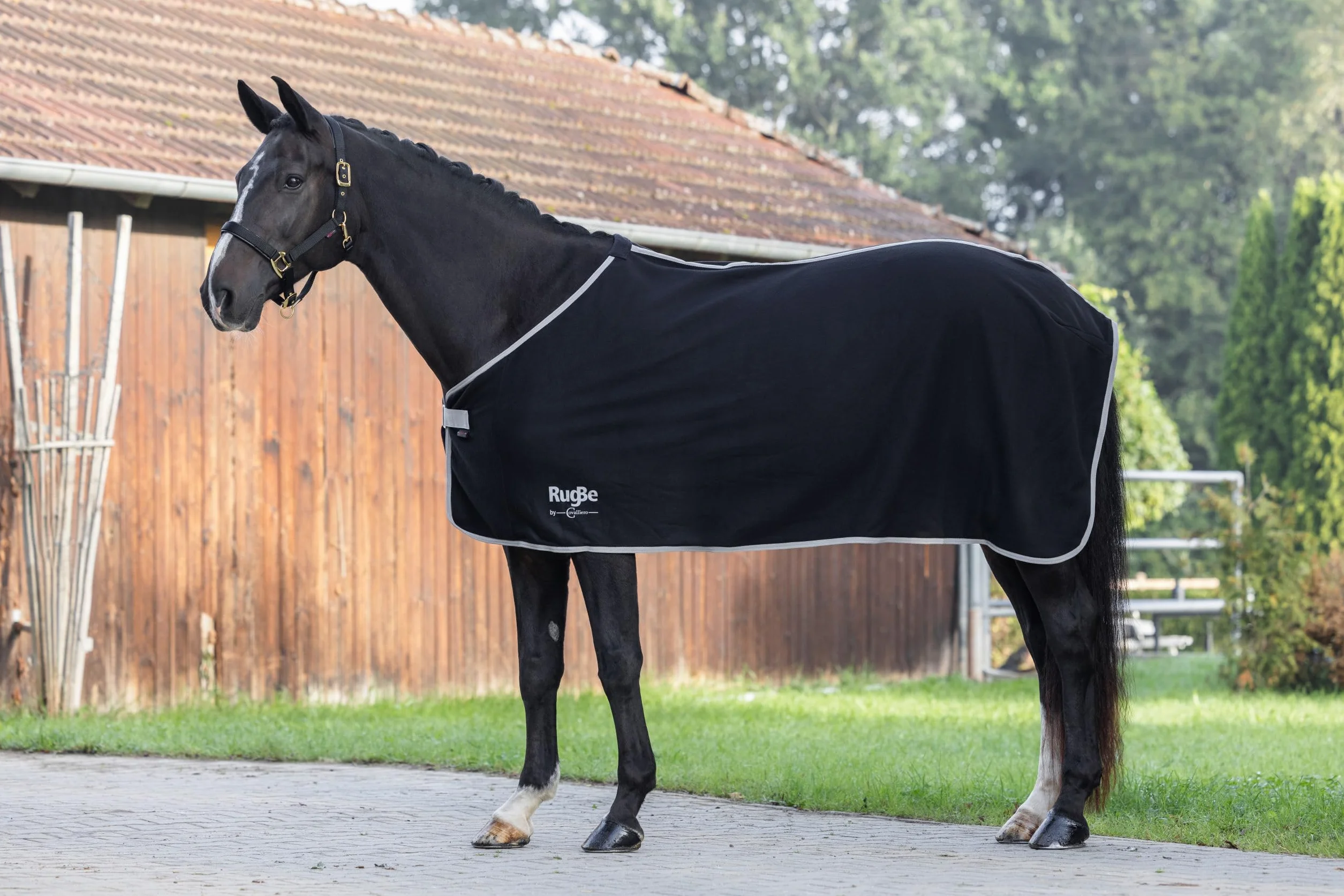 Covalliero Couverture RugBe Economic Noire 115 cm