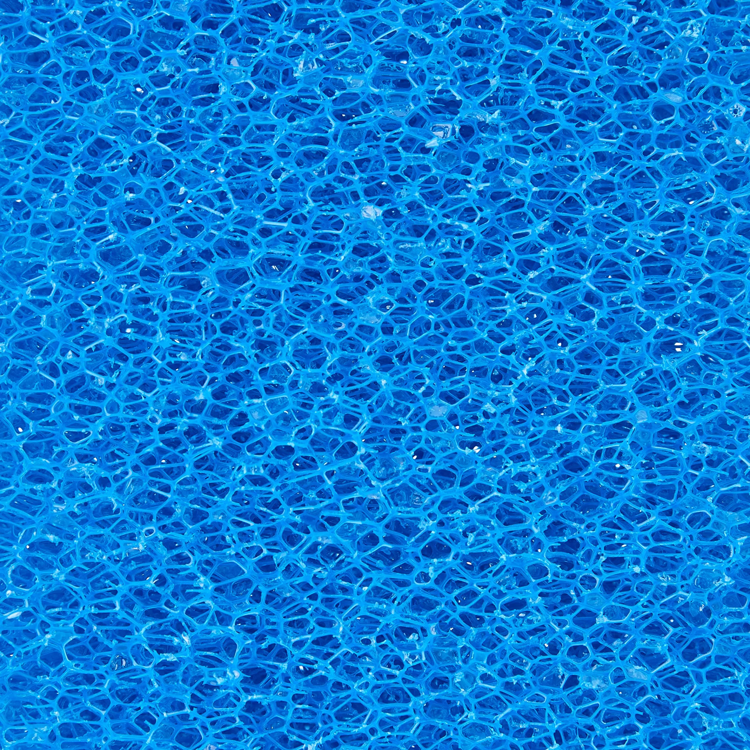 Haquoss Éponge Filtrante 10 Ppi Grain Grosse 5 x 15 x 10 cm Bleu