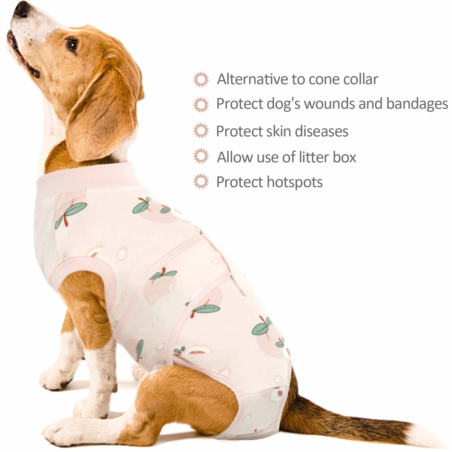 Kuoser Combinaison de convalescence chirurgicale pour chien, corps