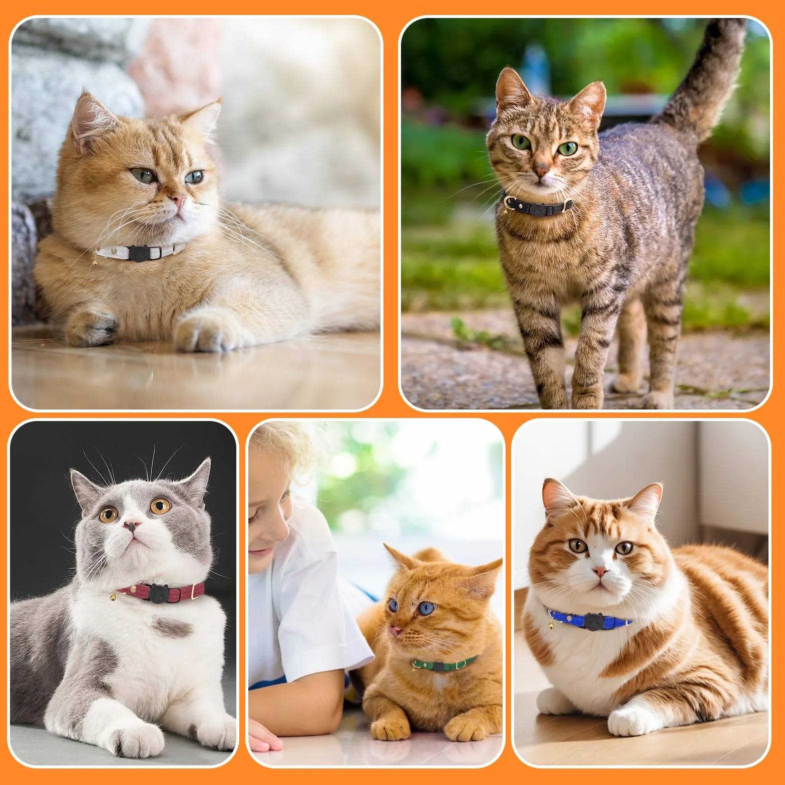 Collier Chat Anti-Étranglement en Cuir d'agneau Boucle Amovible Bleu