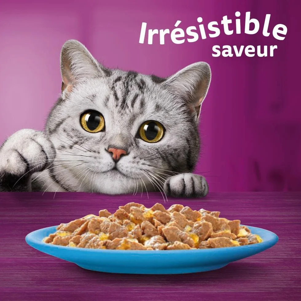WHISKAS Aliment humide en gelée Chat adulte Les Poissons Favoris 48 Sachets