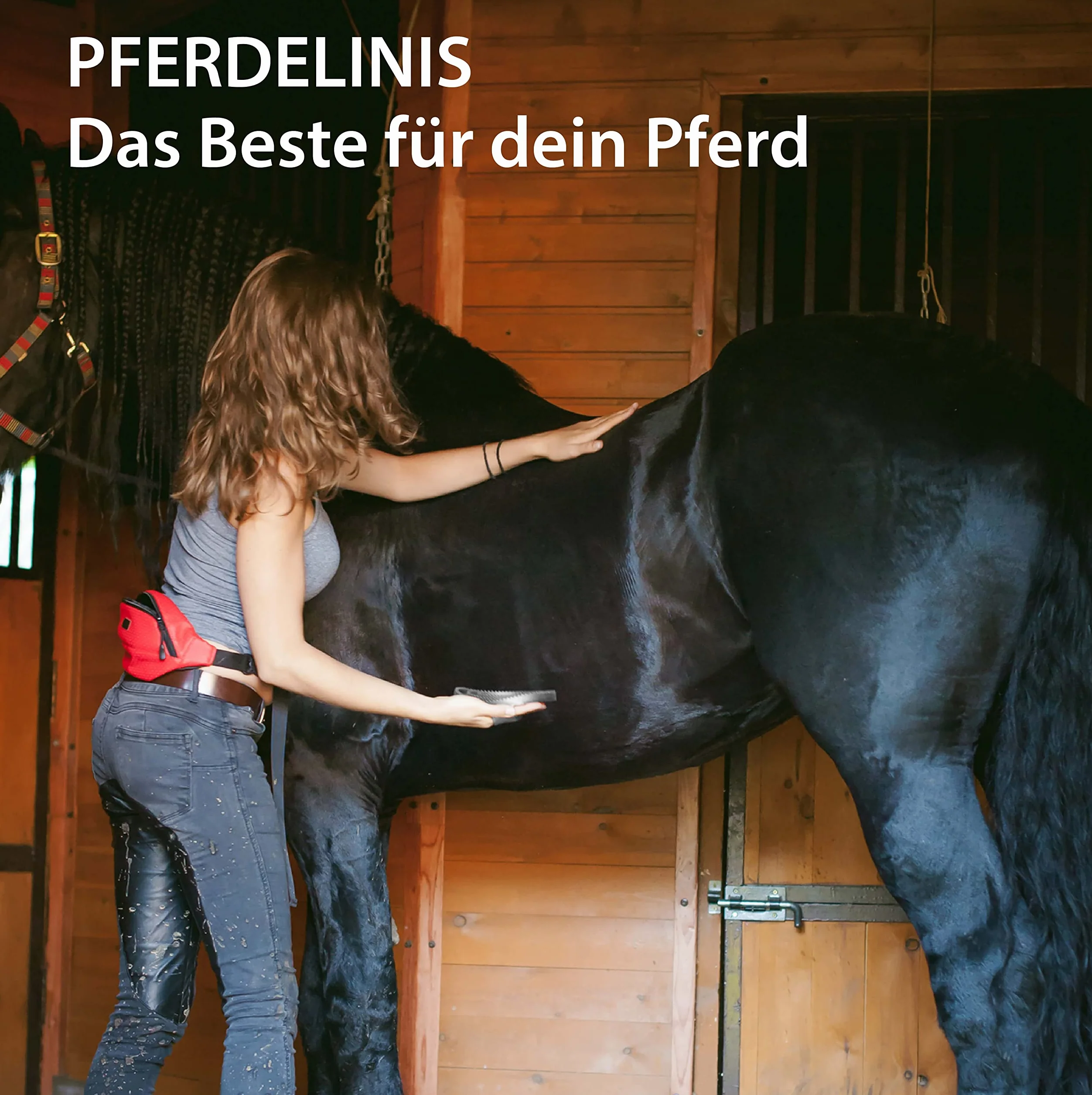 Étrille en caoutchouc pour toilettage chevaux chiens chats brosse massage
