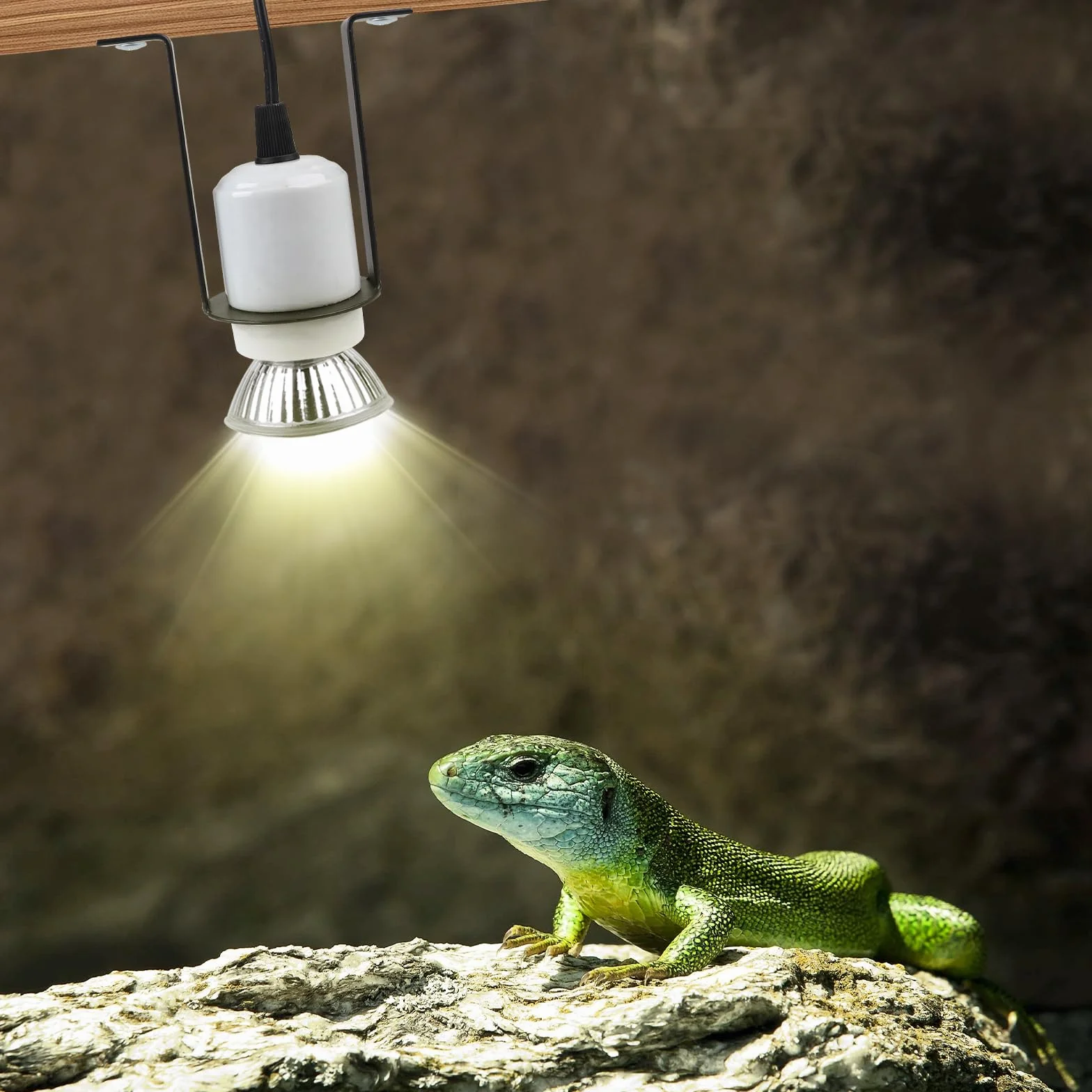 Douille en Céramique Lampe Chauffante E27 pour Terrarium Reptiles, Câble 1,5 m, 2 Pièces