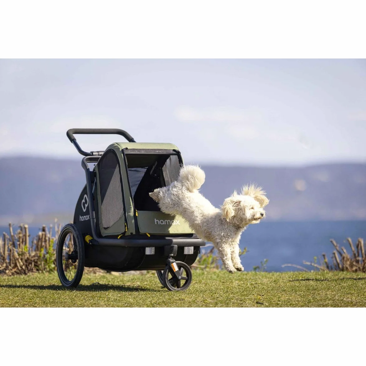 Hamax Remorque Chien Pluto Suspension 3 Positions Kit Poussette Inclus Charge Max 35 kg L 45 kg Sécurité Confort
