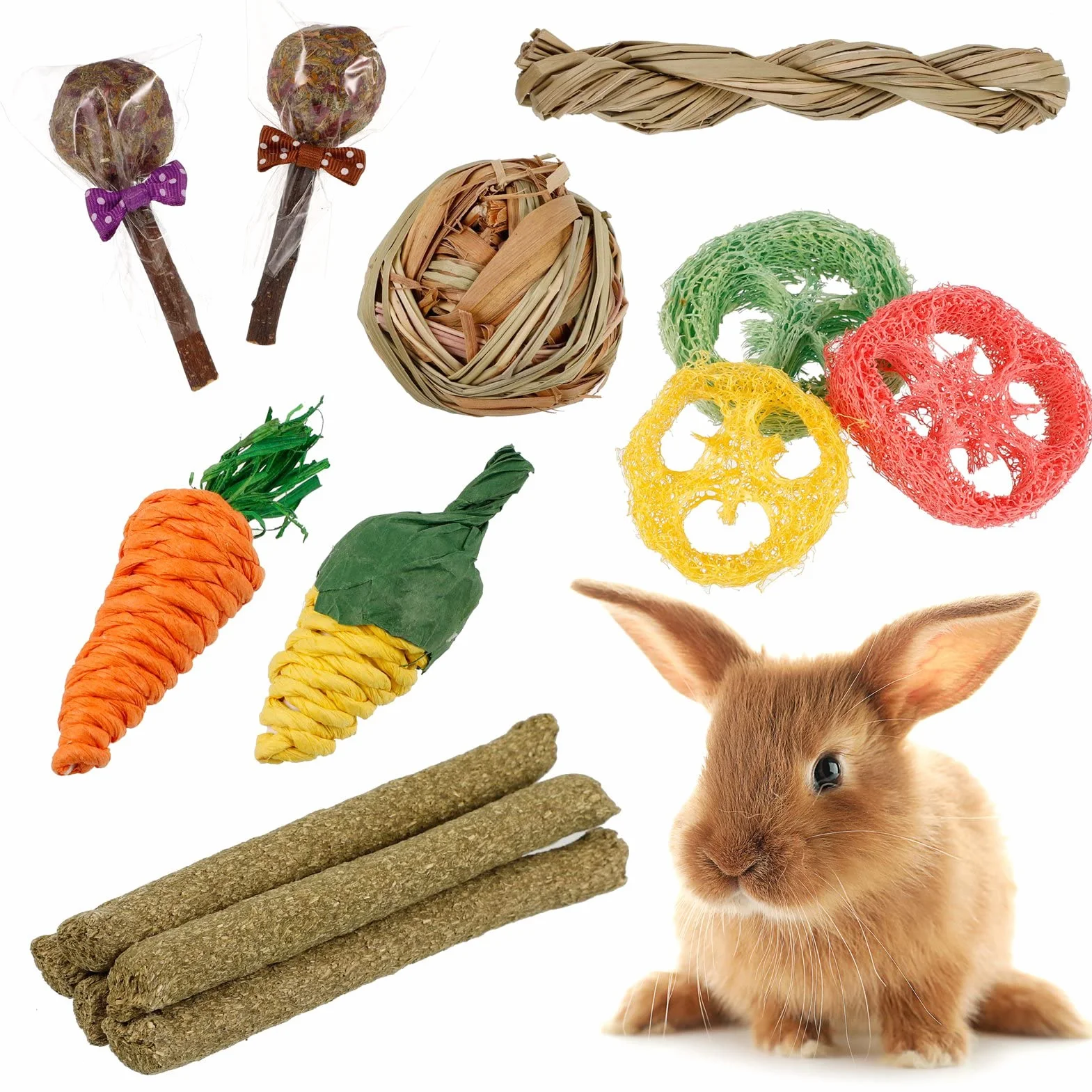 Jouet pour Lapin 17 Pcs Accessoire à Mâcher pour Cochon d'Inde Hamster Chinchilla Gerbille