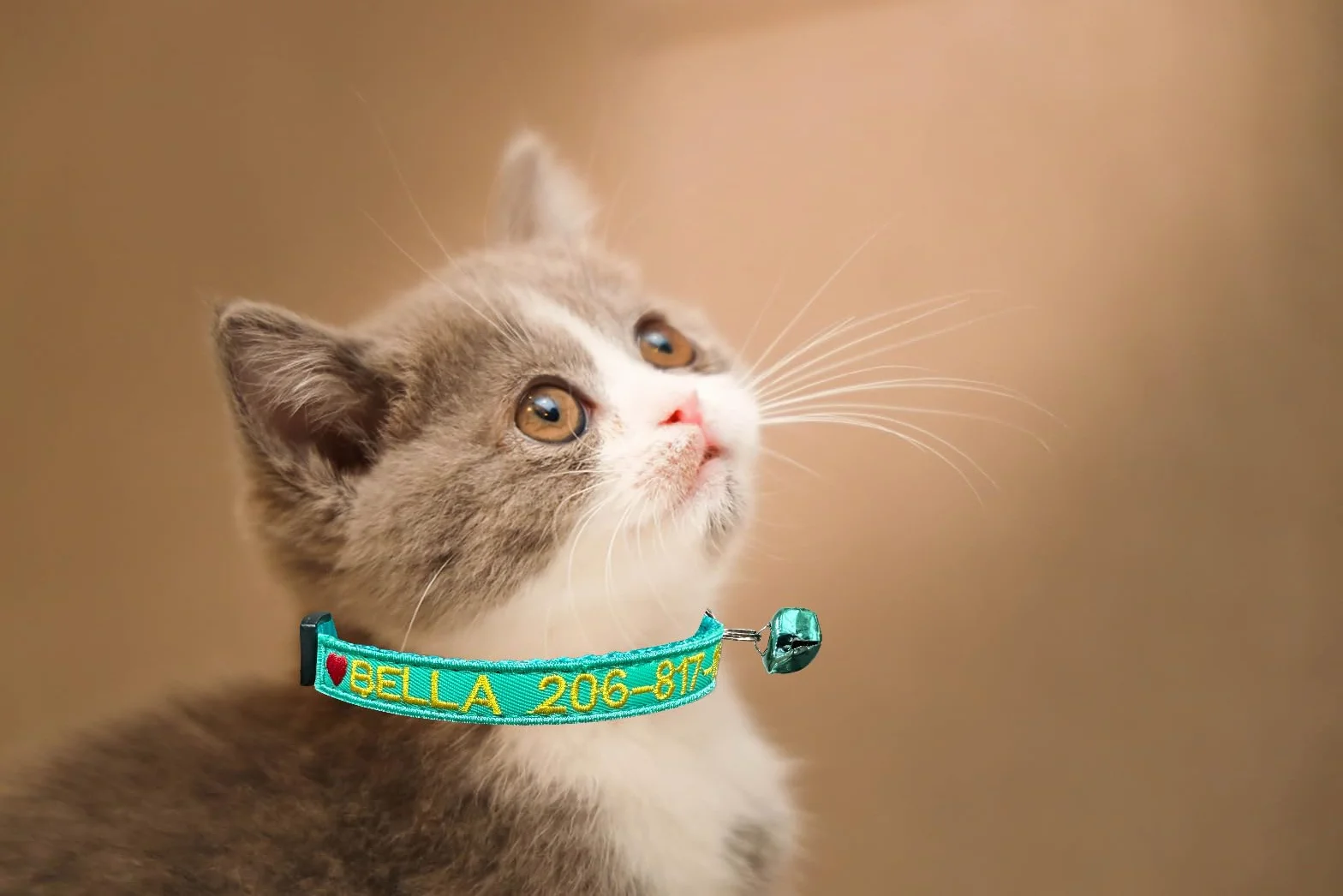 Collier de Chat personnalisé avec Nom et Numéro de Téléphone, Collier de Sécurité en Nylon, Boucle à Dégagement Rapide