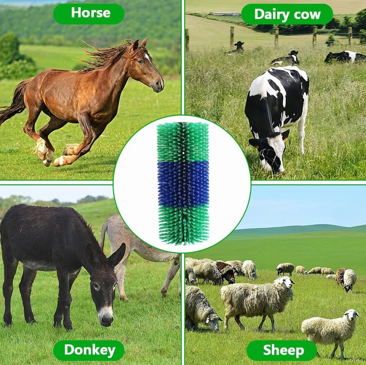 Grattoir universel pour cheval bétail brosse de massage soulagement dos
