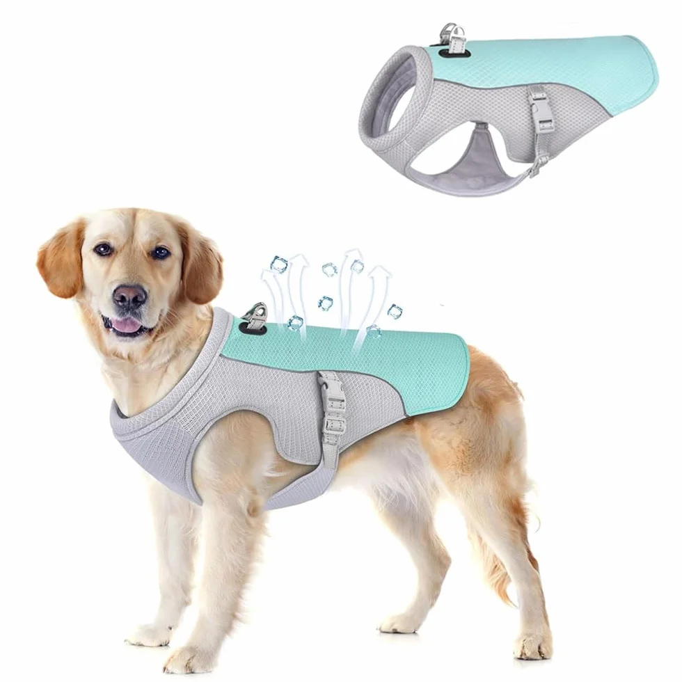 Gilet de refroidissement pour chiens Voarge, léger, respirant, réfléchissant, protection UV, taille S
