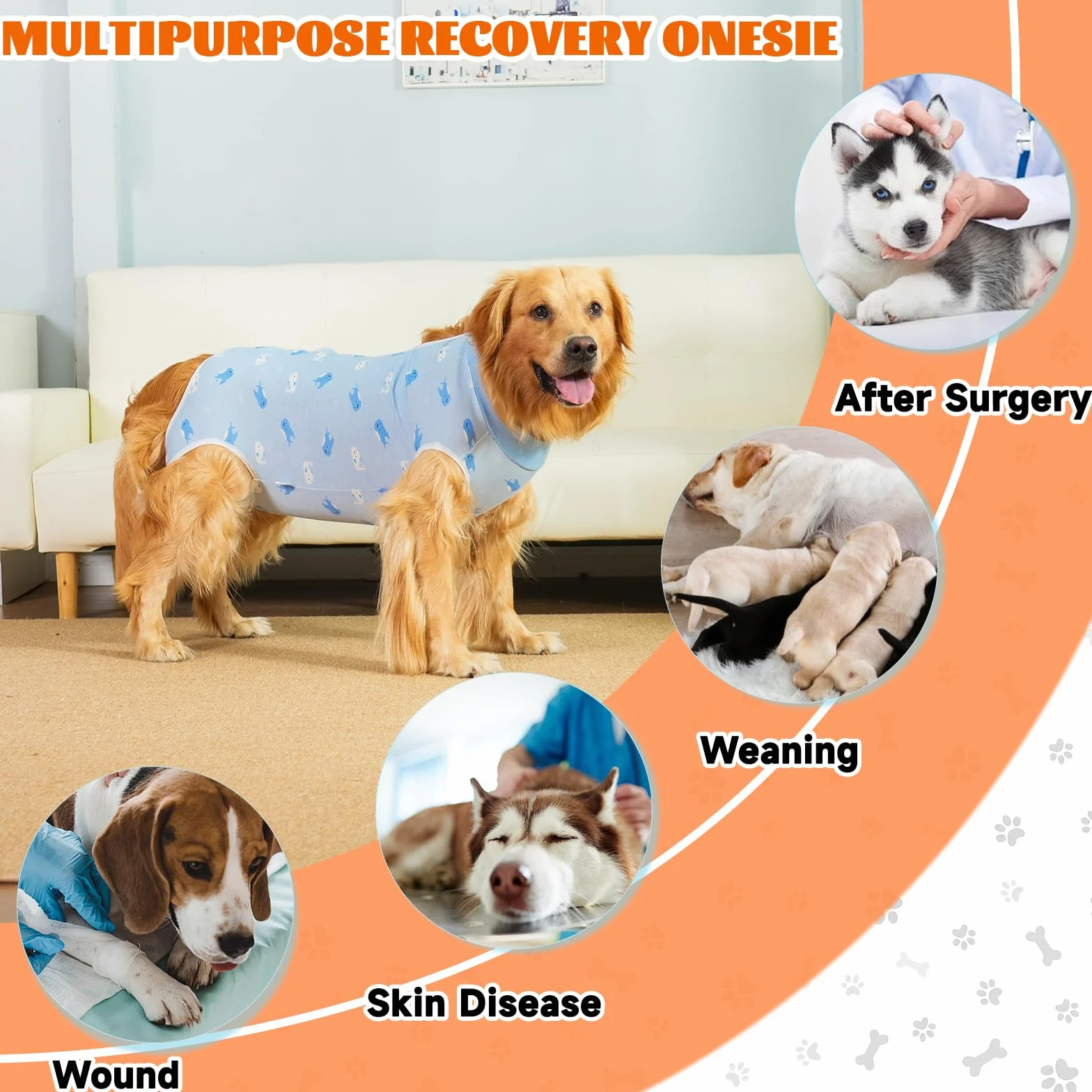 Combinaison de Récupération pour Chiens après Chirurgie, Body Chirurgical Chien Femelle Mâle, Protection Post Opératoire (Blue-Baleine, XL)