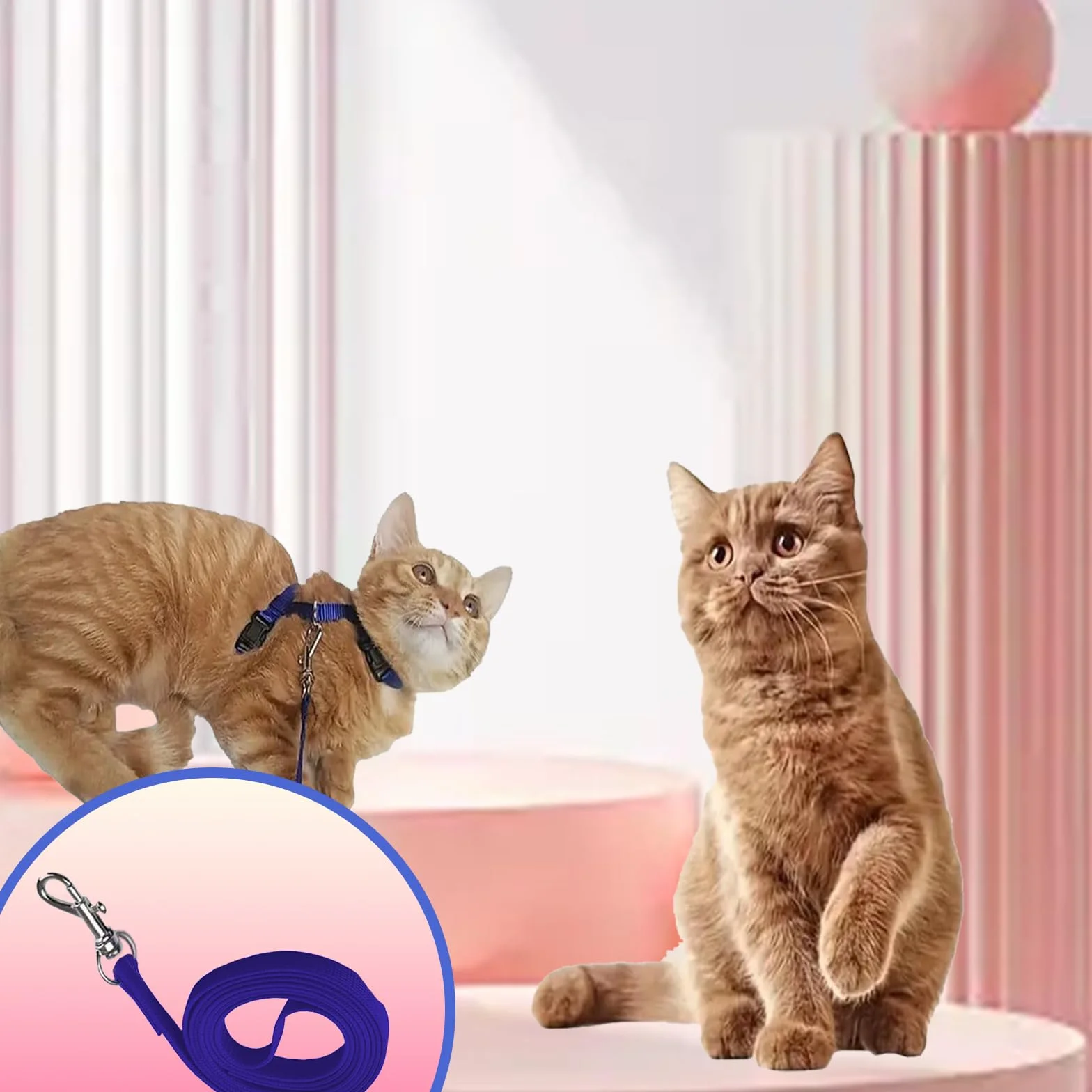 Harnais Doux pour Chat Réglable avec Boucle de Sécurité Anti-Fuite