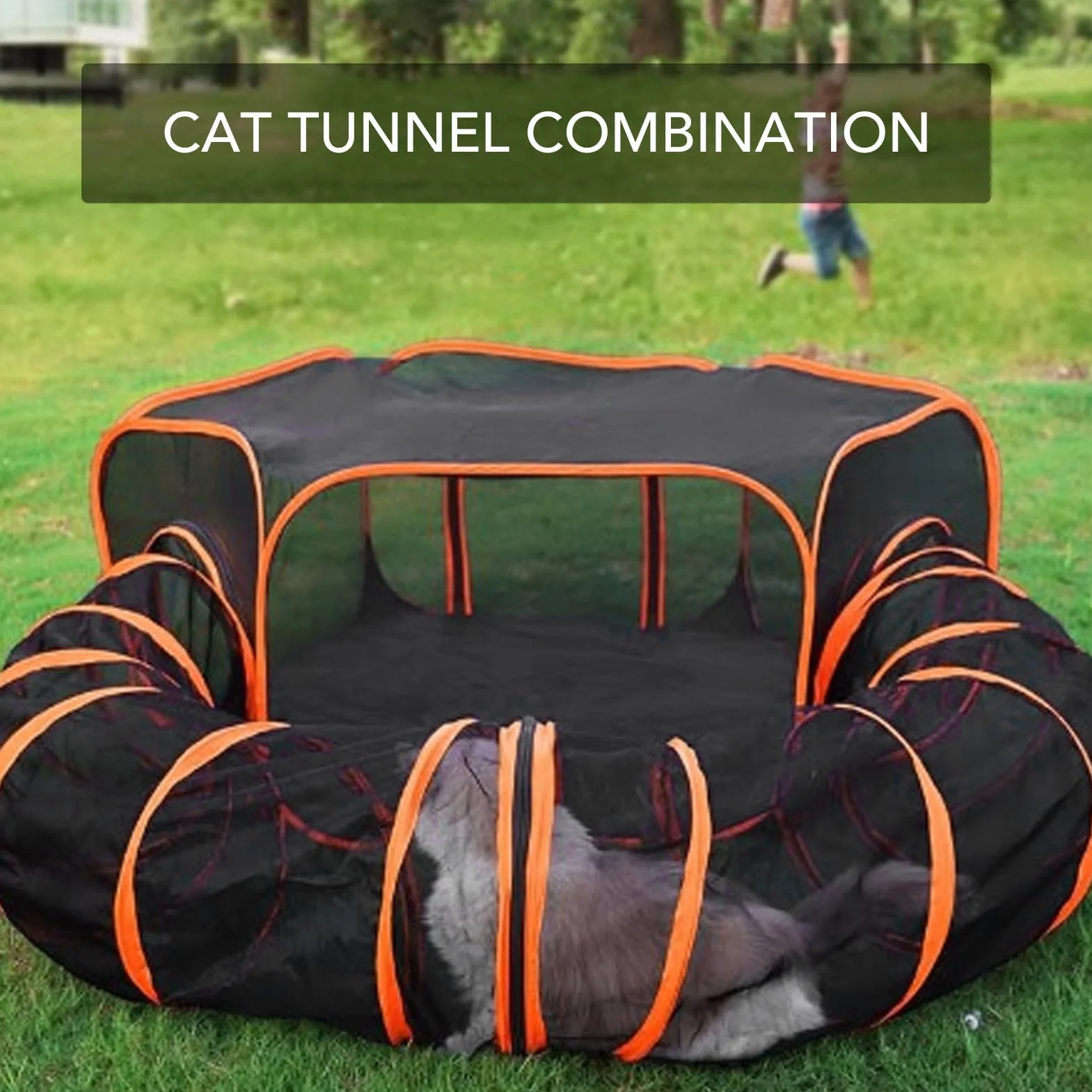 Tunnel pour Chat Pliable avec Enclos pour Chats et Petits Animaux