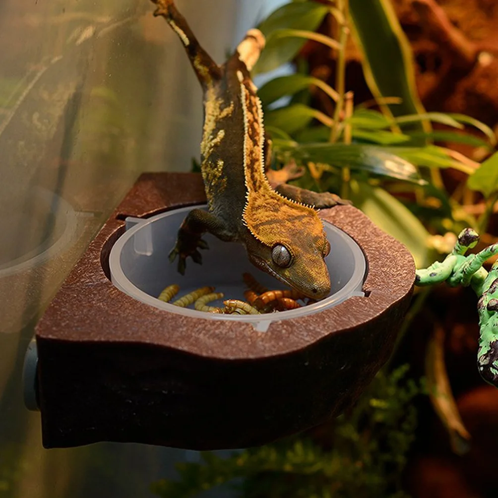 Mini mangeoire magnétique pour gecko, nourriture ou eau Vert