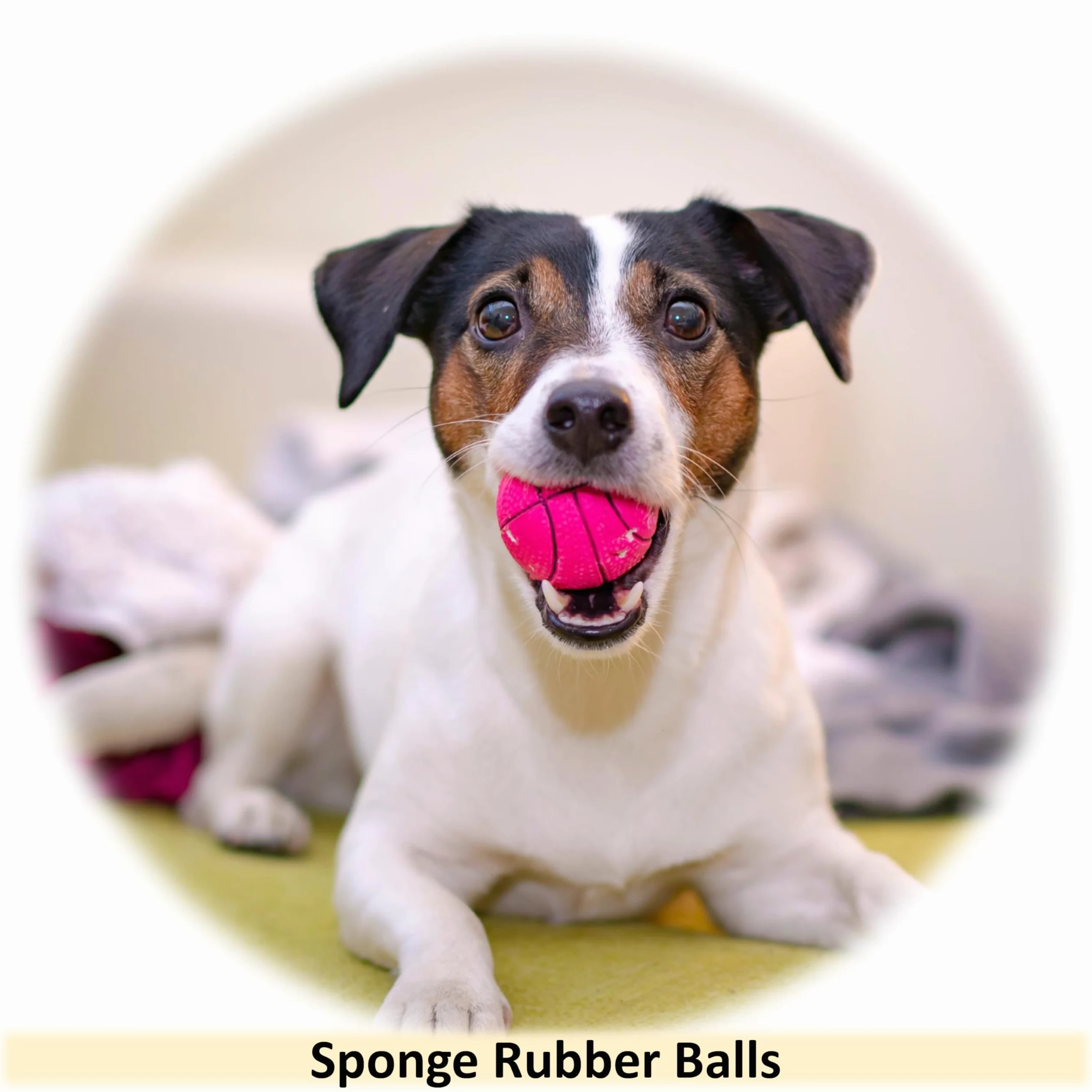 Lot de 16 balles flottantes en caoutchouc pour chien - 6 cm - Jouet flottant à rebond élevé - Noyau solide - Éponge - Jouets interactifs pour chiots, chiens de petite et moyenne taille