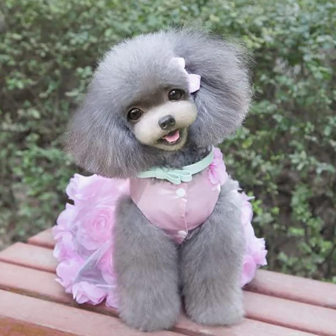 Robe Luxe pour Petit Chien Fille Tutu Jupe Rose Fleur Bowknot