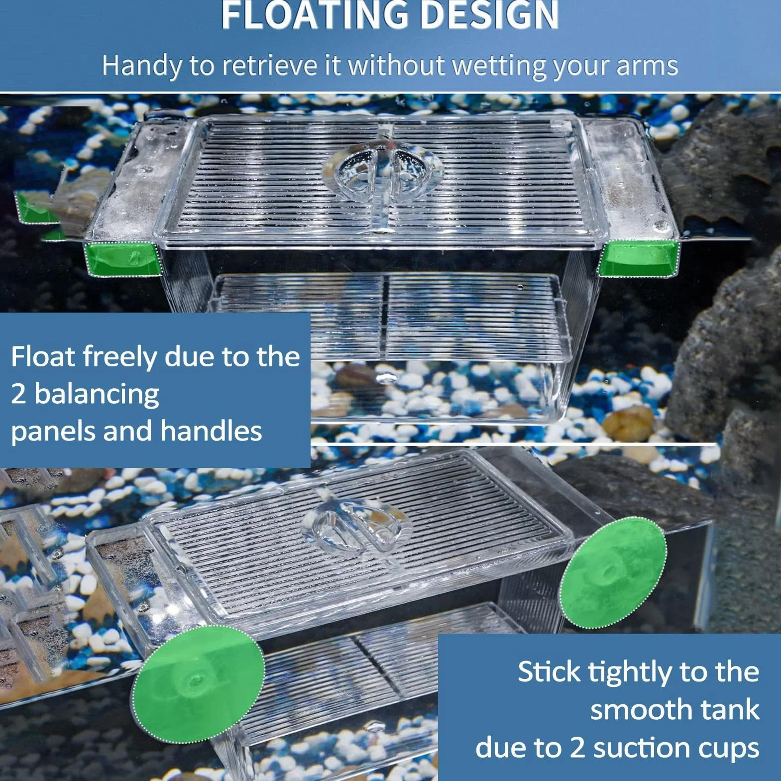 Boîte D'éclosion de Poissons Transparente avec 2 Ventouses, Boîte d'Isolation pour Poissons