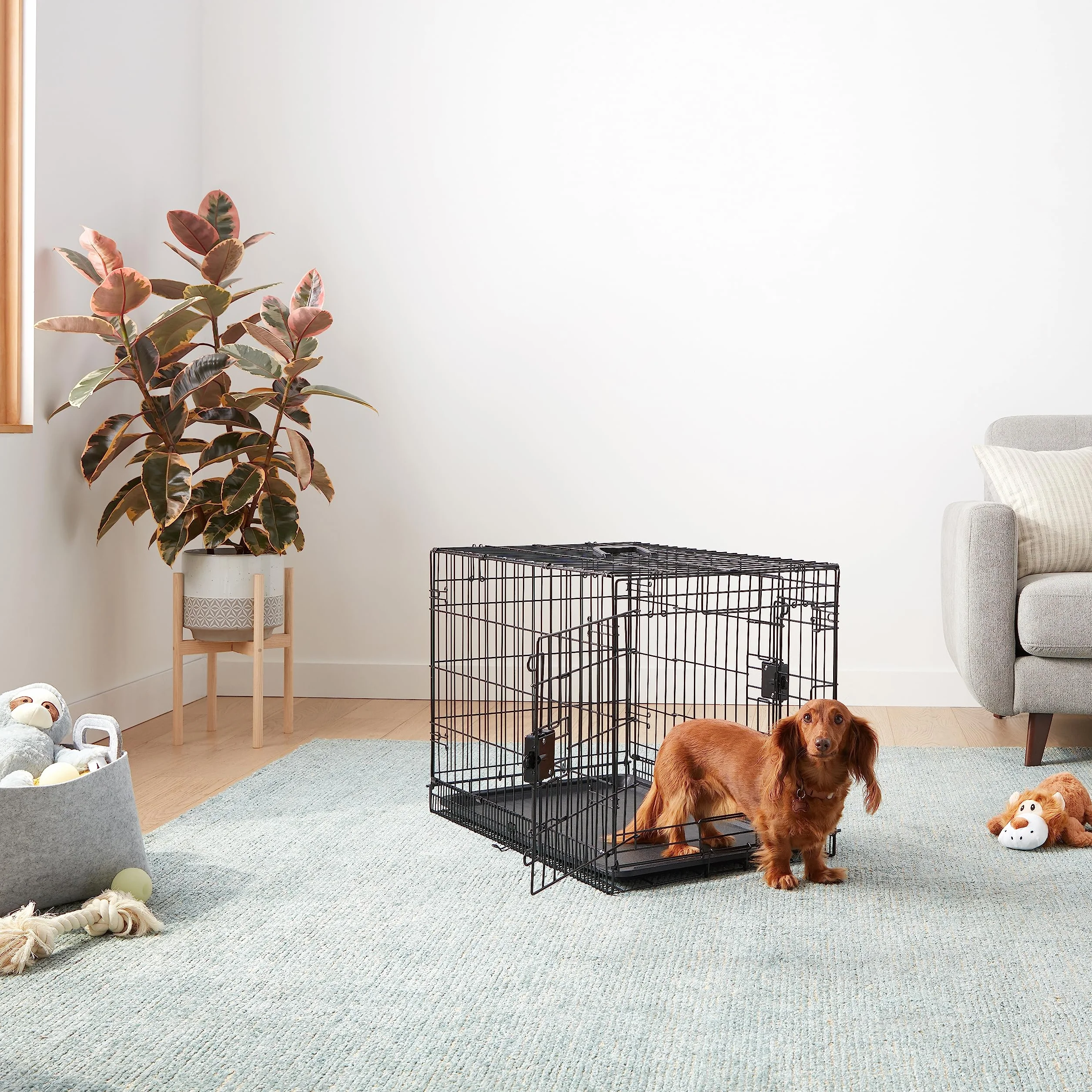 Amazon Basics Cage pour chien Durable Pliable en fil métallique avec plateau Double porte L 76 x l 48 x H 53 cm Noir