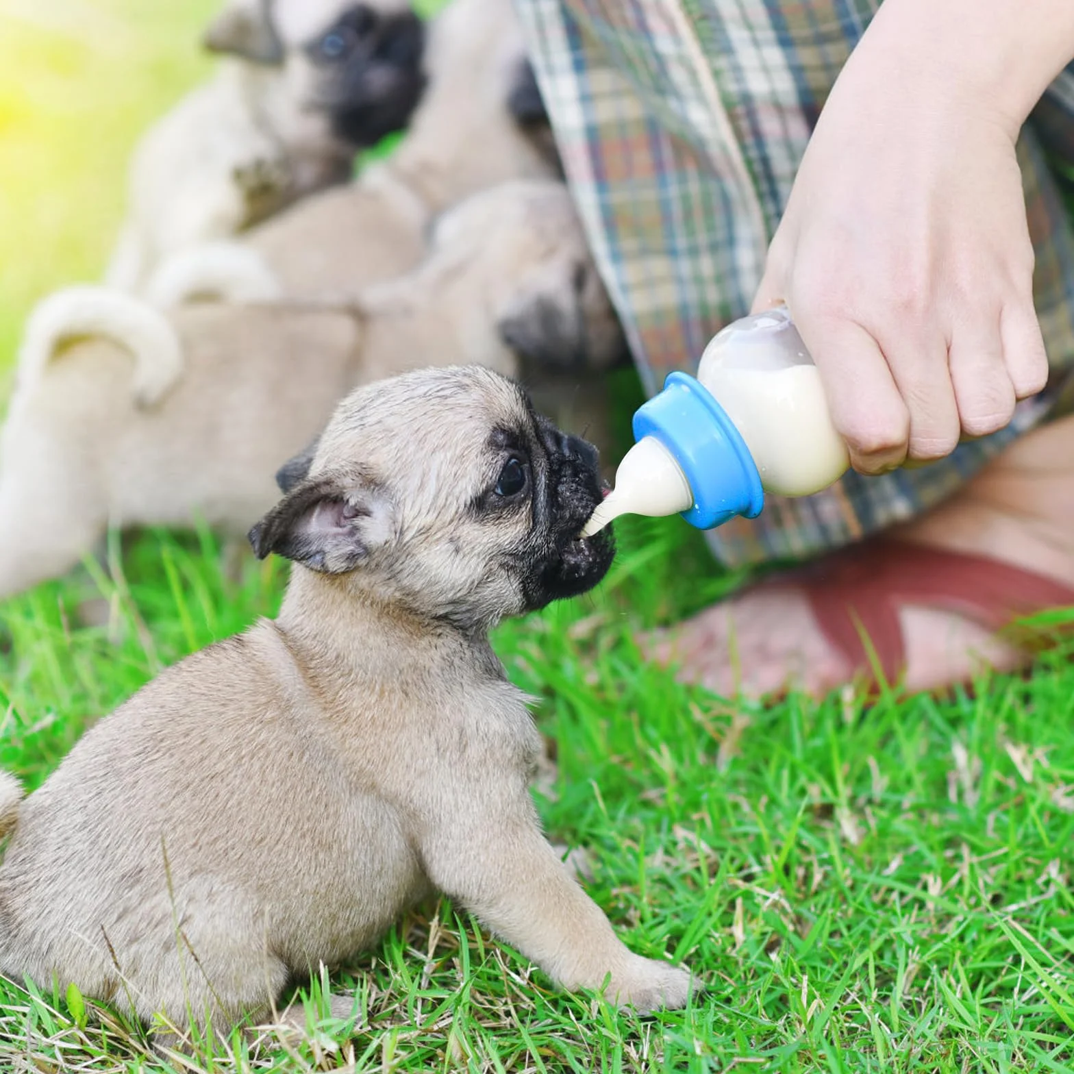 Bouteille de Lait Animaux de Compagnie 60ml 150ml Silicone Biberon pour Chien Chat avec Tétines et Brosse (Rose)