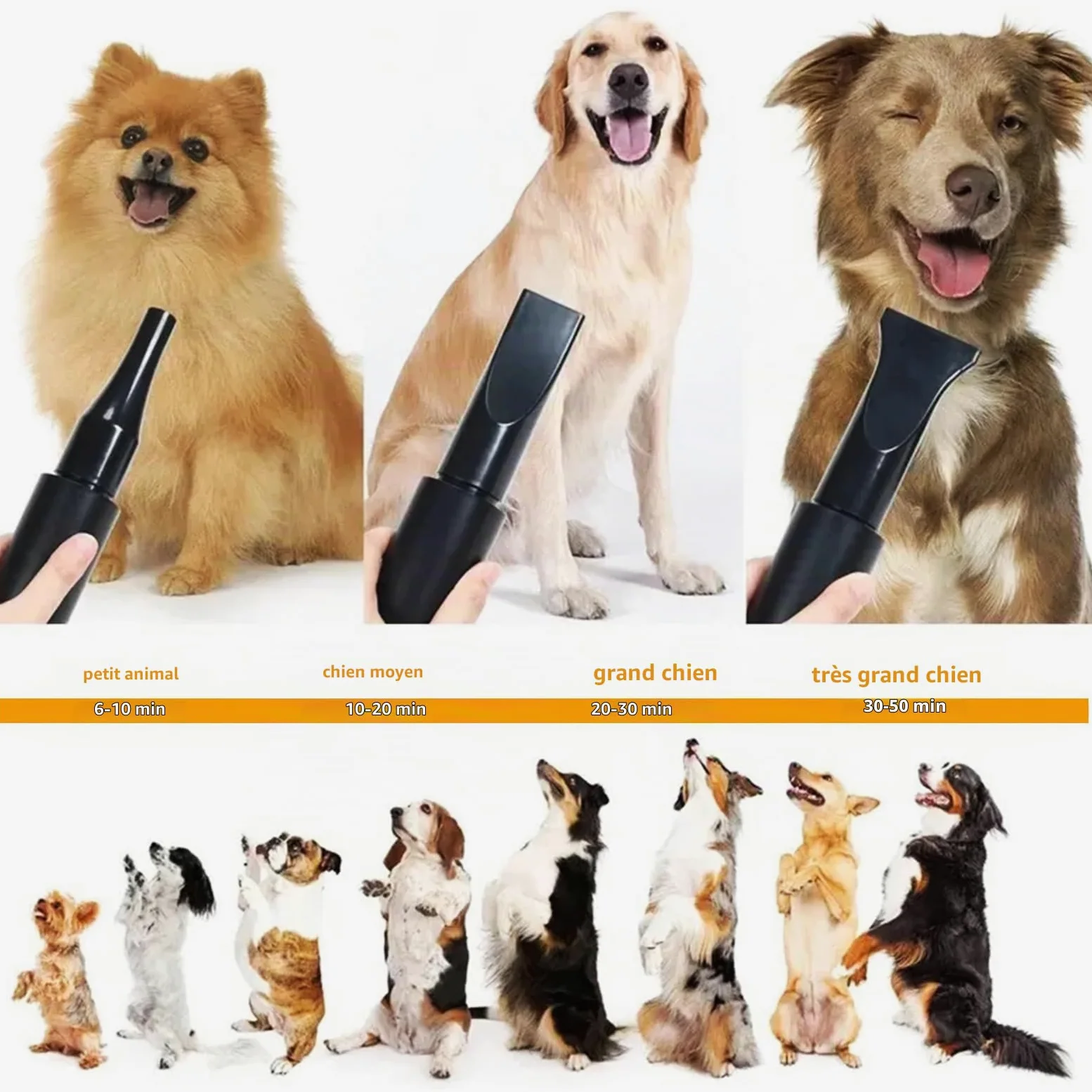 Pulseur pour Chien 2800W - Séchoir Professionnel pour Animaux avec Température Réglable et 4 Buses (Jaune)