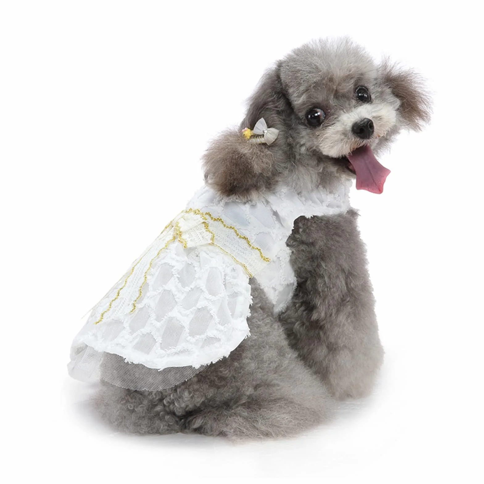 Robe de Chien Nœud Papillon Jupe Princesse Blanche Dentelle Vêtement Été Mariage (M)