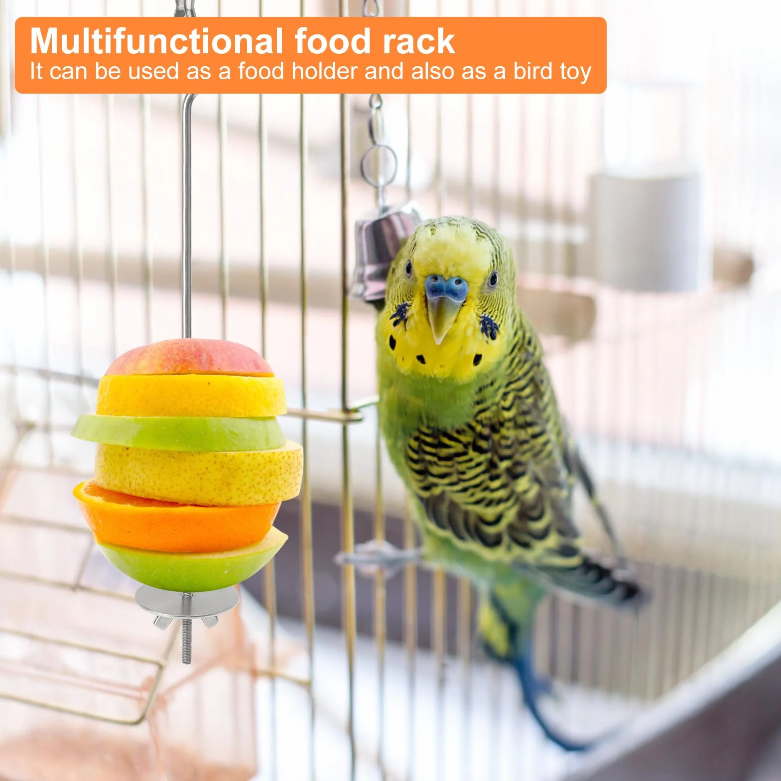 Mangeoire pour oiseau en acier inoxydable 3 pièces brochette de légumes et fruits