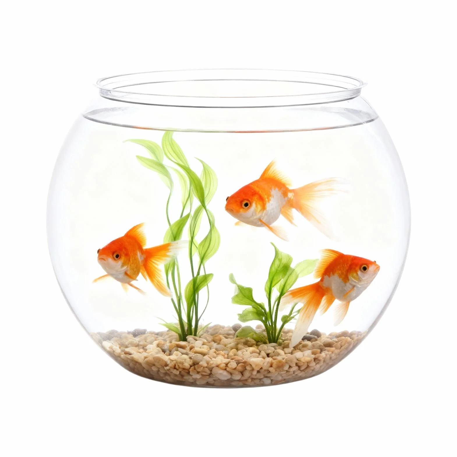 Fish Bowl Small Fish Tank Aquarium Bubble Ball Vases for Party Decor