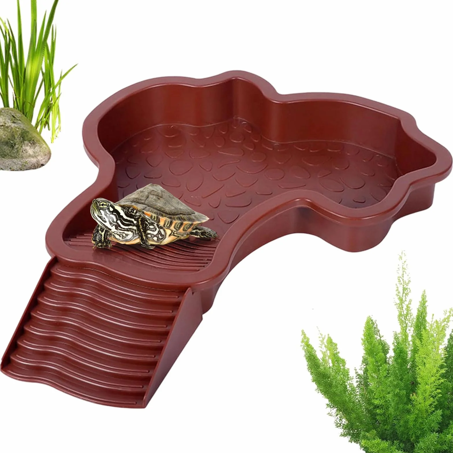 Bassin de bain pour tortues avec plateau incliné pour reptiles