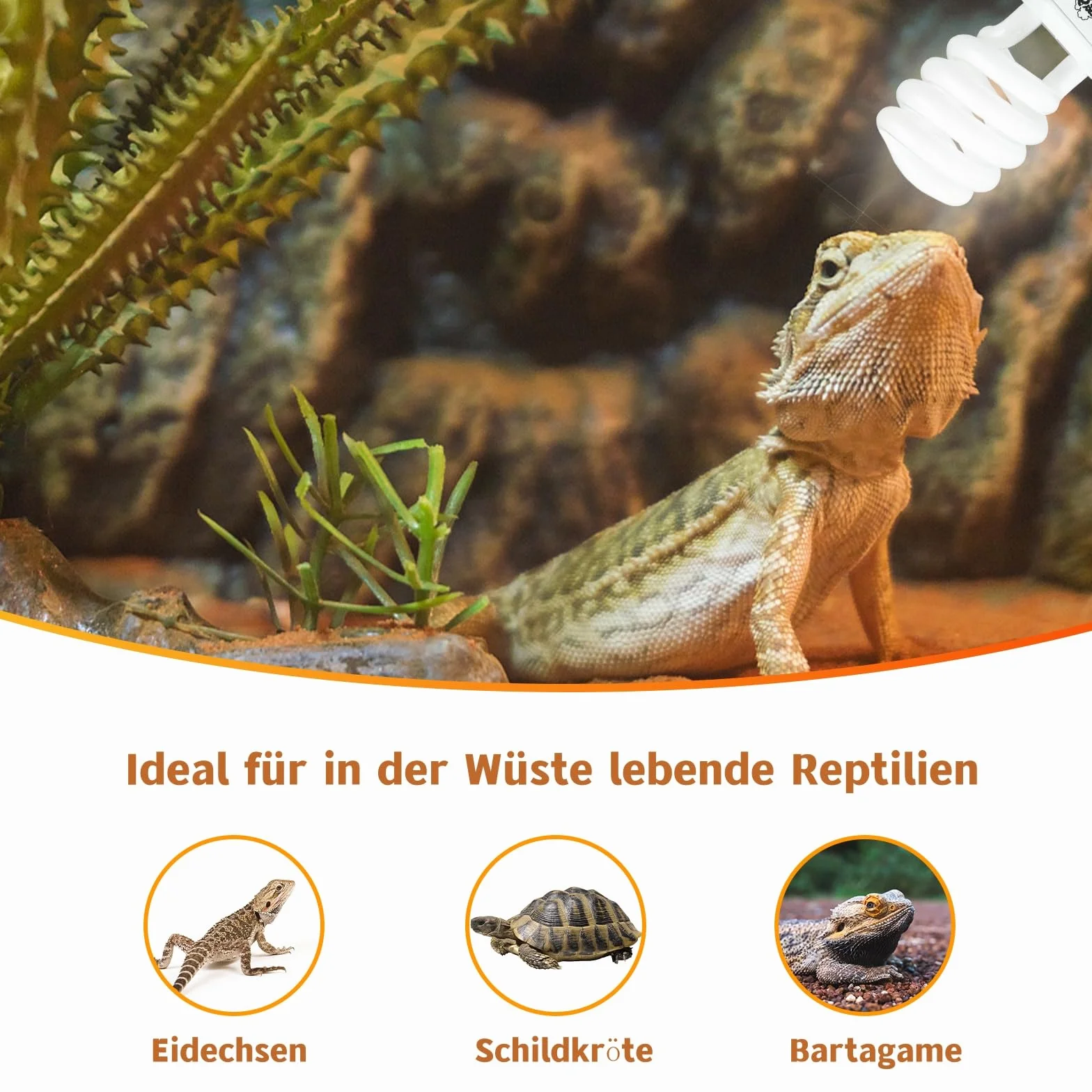 LUCKY HERP Lampe Reptile UVB 10.0 23W Ampoule UVA UVB 150 Fluorescente Compacte pour Terrarium