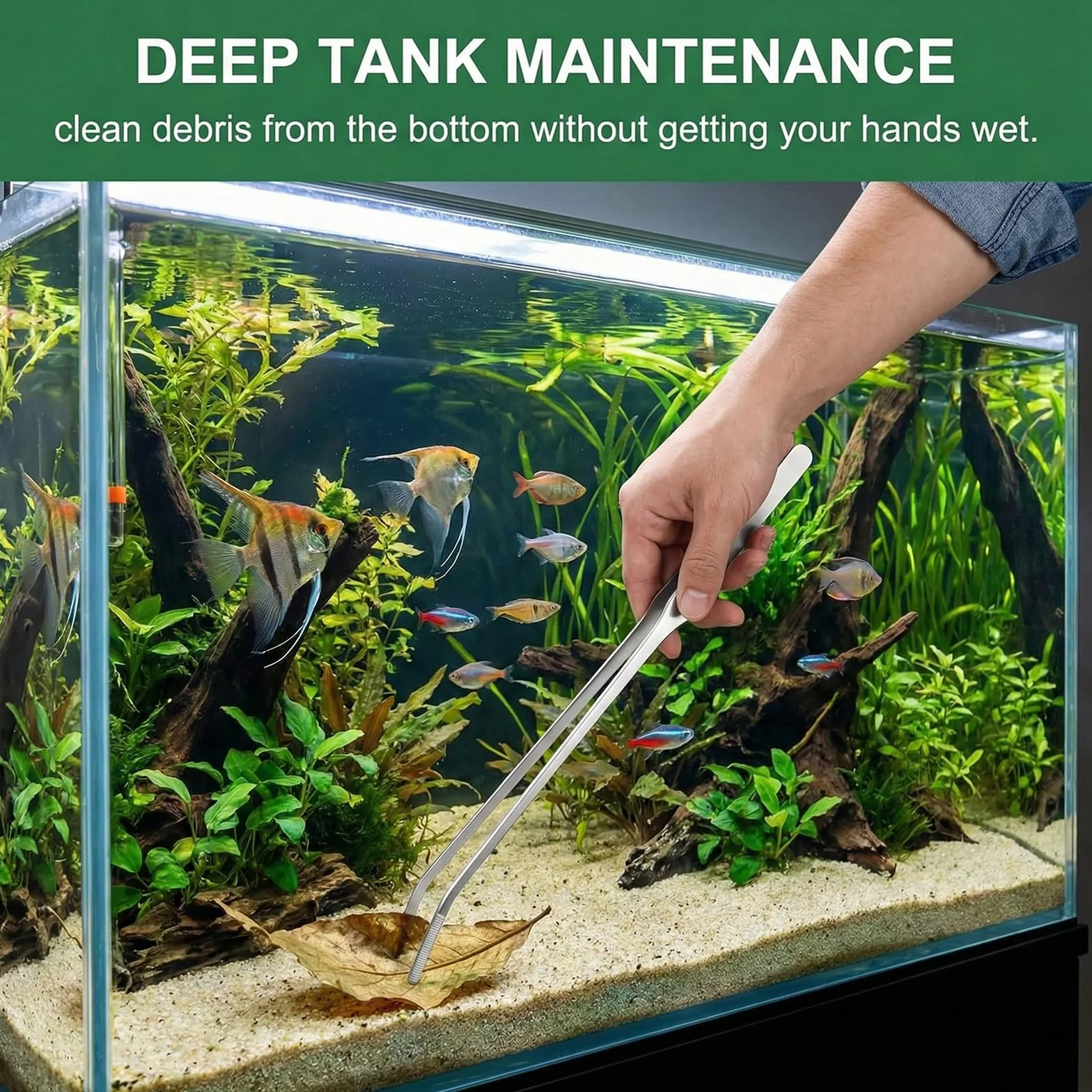 Pince pour Aquarium incurvée 27 cm Acier Inoxydable 2 pièces Droite et Pointe courbée