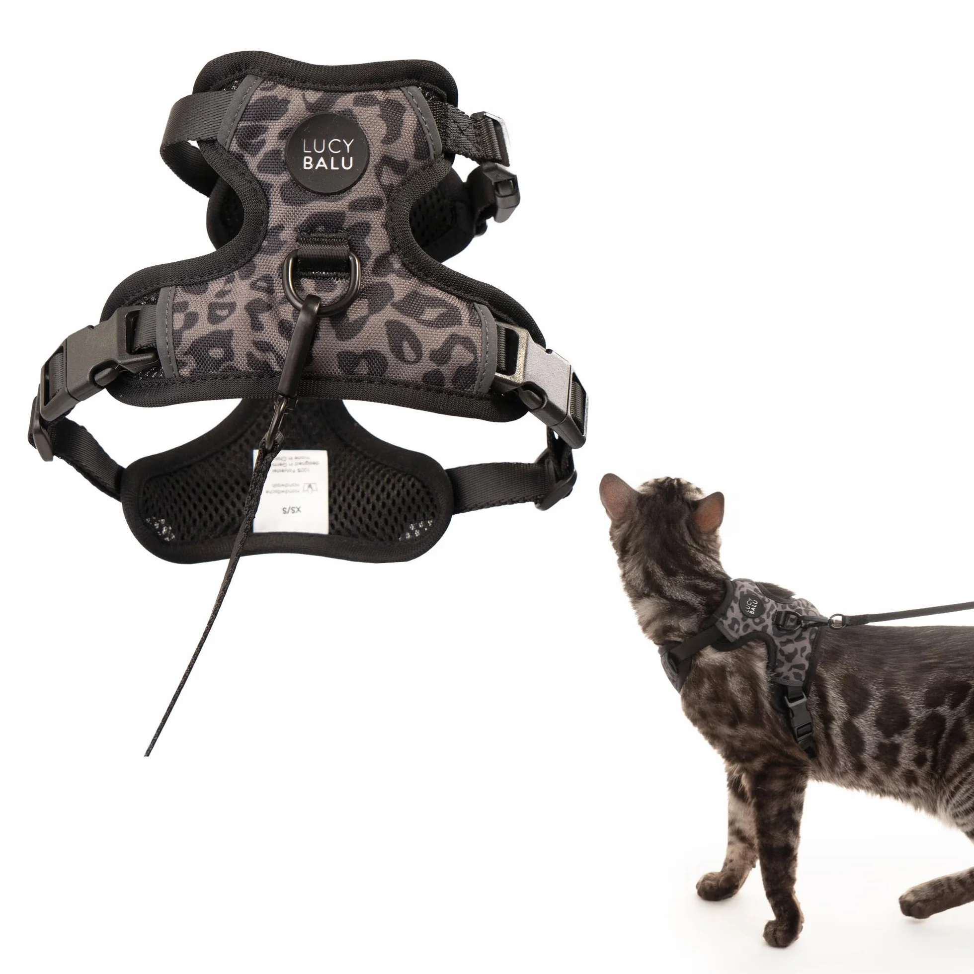 LucyBalu® Explorer Harnais Anti-Fugue Chat Laisse AirTag Léopard M/L