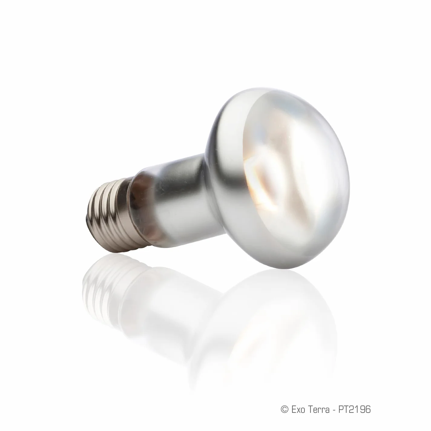 Exo Terra Intense Basking Spot lampe spot chauffante