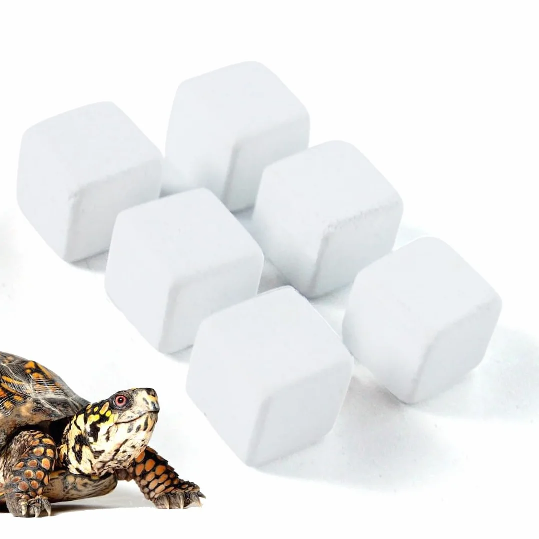 GXGM Blocs Minéraux Reptiles et Tortues 6 Pièces 12x12x12mm Supplément Naturel