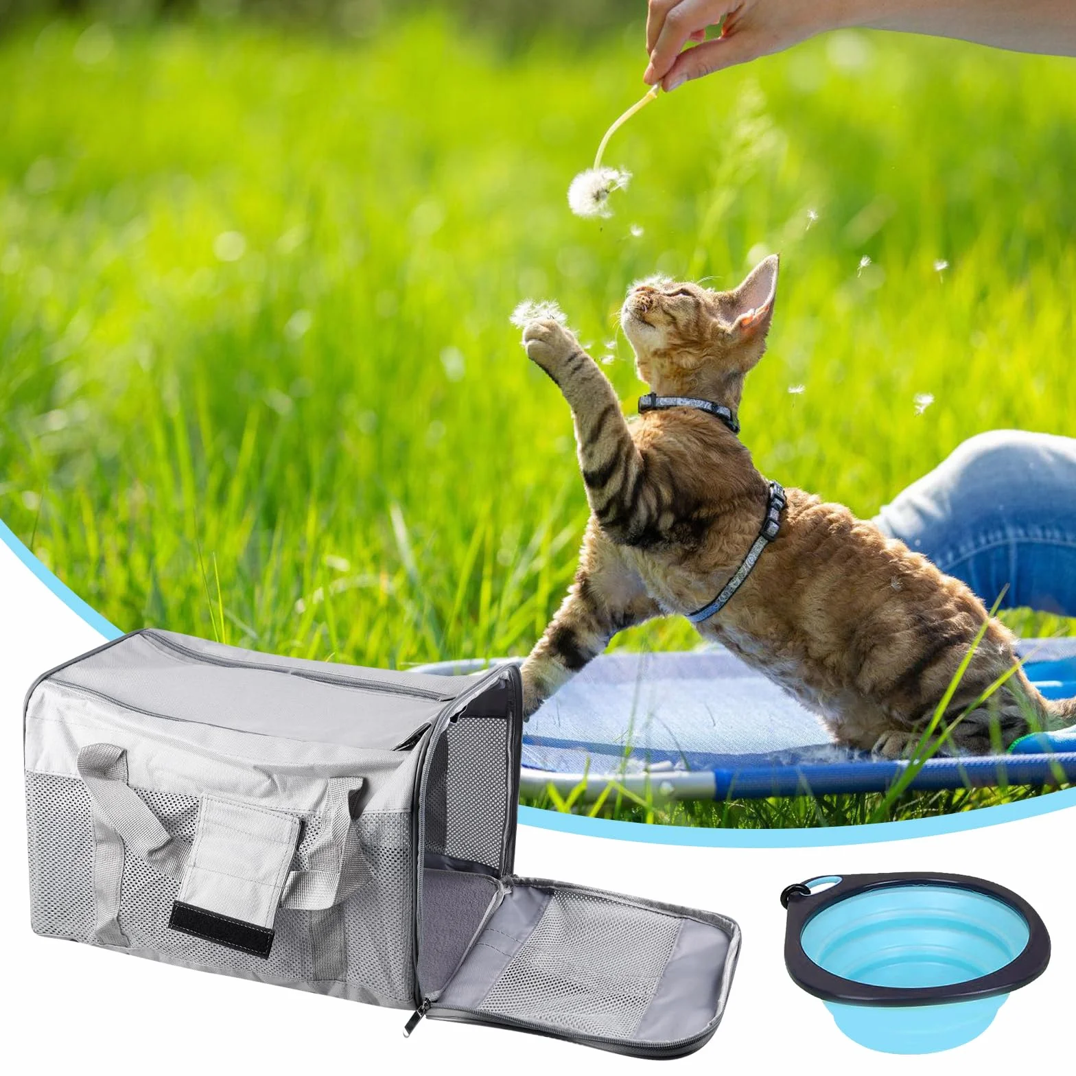 Vegena Sac Transport Chat Chien Caisse Pliable 42 x 27 x 28 cm