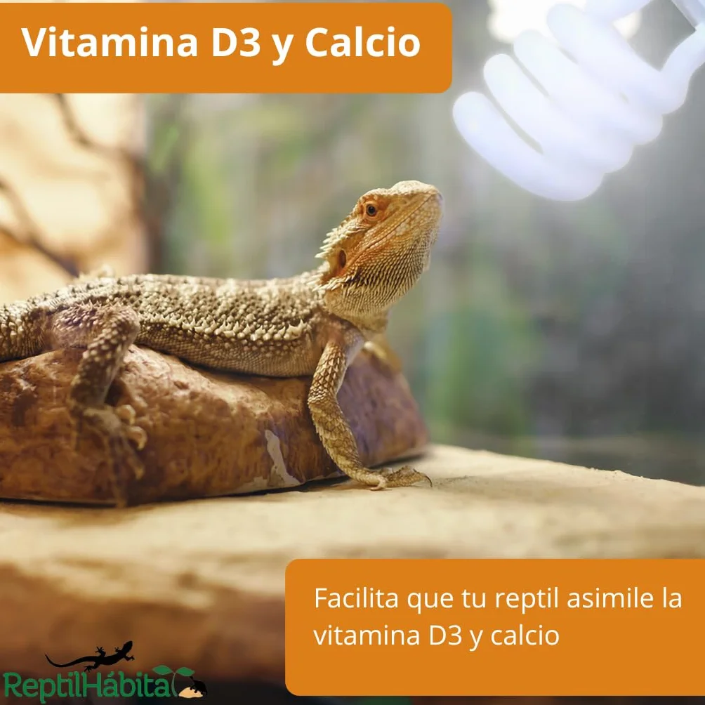 Ampoule UVB 10.0 UVA 13W E27 pour Terrarium Reptiles Tortues Pogona