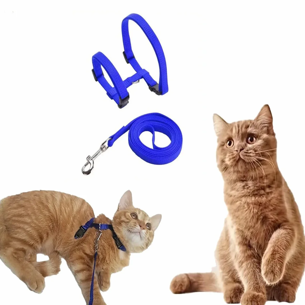 Lot de 2 Harnais réglables en Nylon pour Chat avec Laisse, Bleu et Rose