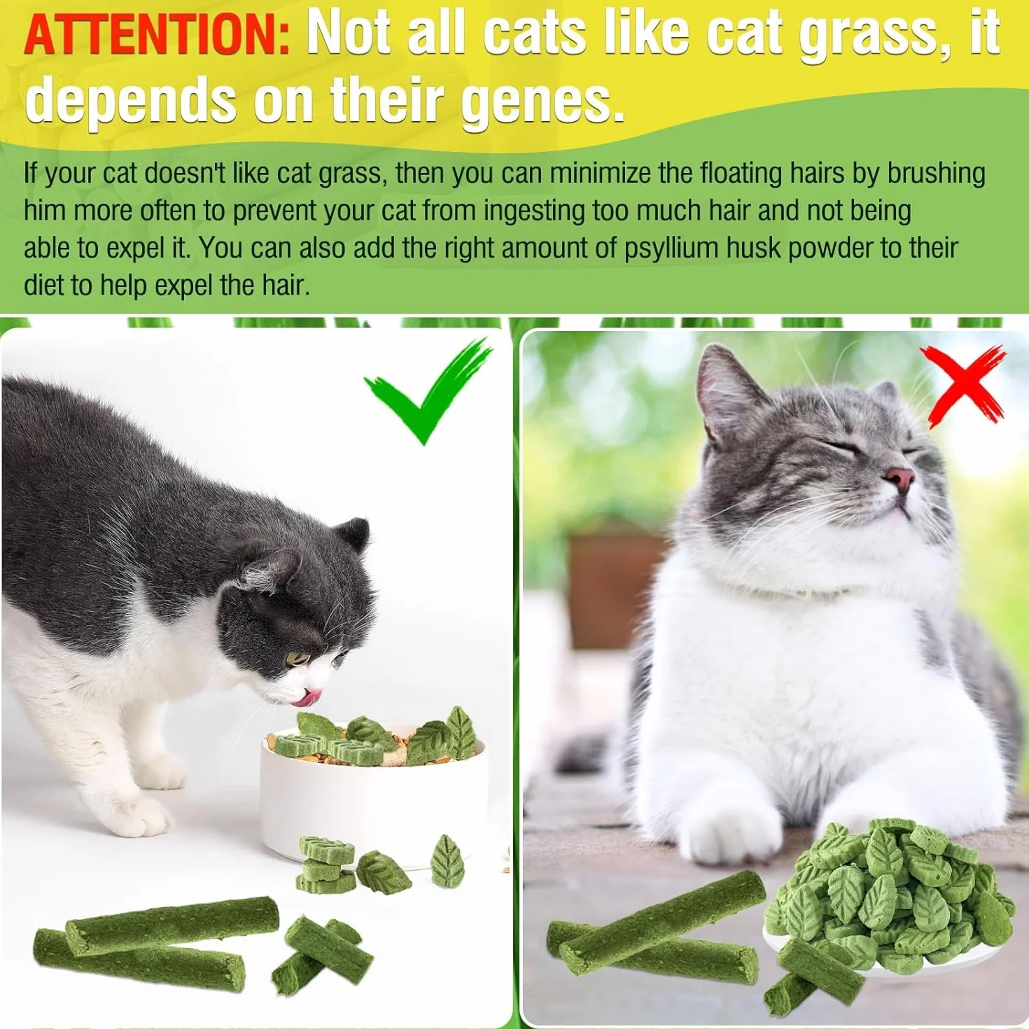 Bâton de Dentition d'herbe de Chat, Collations Comestibles pour Chats, Friandises Lyophilisées Nettoyeur de Dents 50g