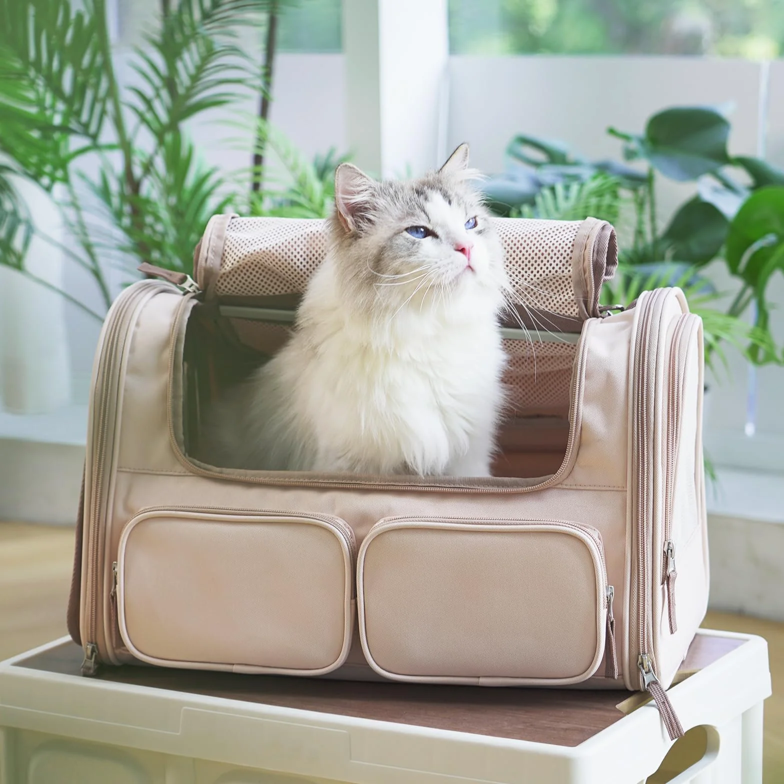 FUKUMARU Sac de Transport pour Chat, 4 Fenêtres en Maille, 4 Poches, Sac de Voyage pour Chat Moins de 20 kg, Approuvé par les Compagnies Aériennes