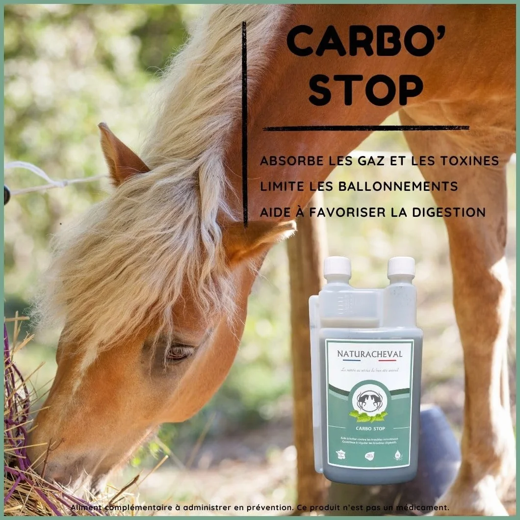 Charbon Actif Naturel pour Cheval – Complément Digestion – Absorbe Gaz & Toxines – Ballonnements & Transit