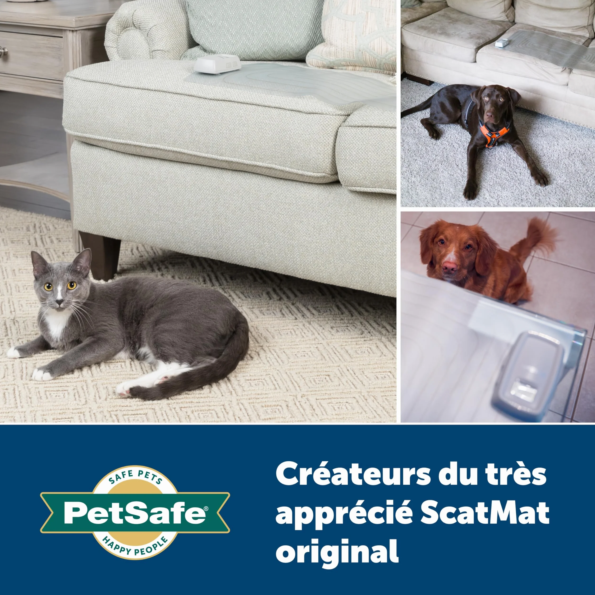 PetSafe Tapis d'entraînement électronique ScatMat Protection Meubles 7 Modes Stimulation électrostatique Taille L
