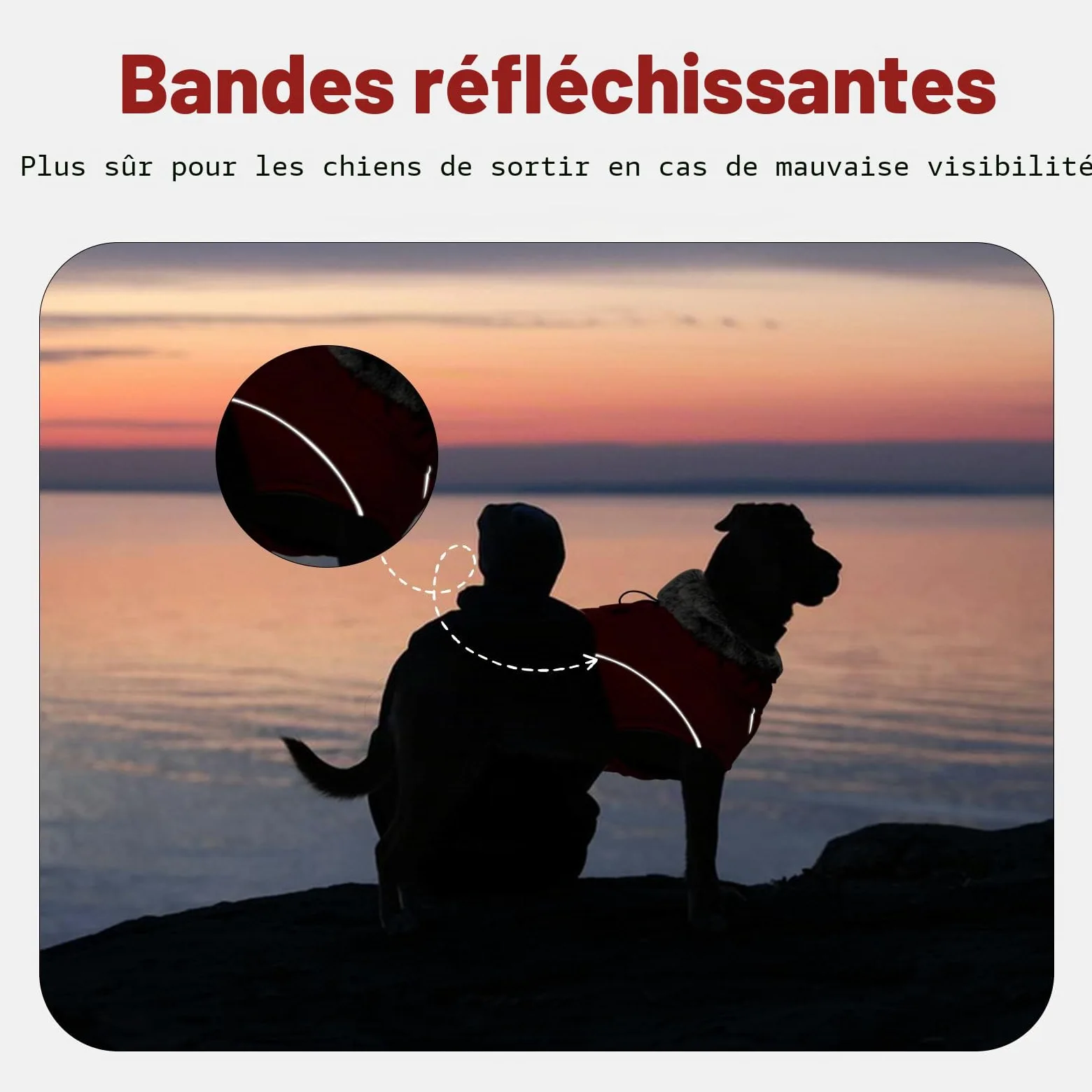 Manteau Polaire Chien, Doudoune Chien Manteau Petite Chien Réfléchissant Peluche avec Col en Fourrure Veste d'hiver Vêtement Confortable pour Petits Moyens Grands Chiens(Rouge, XL)