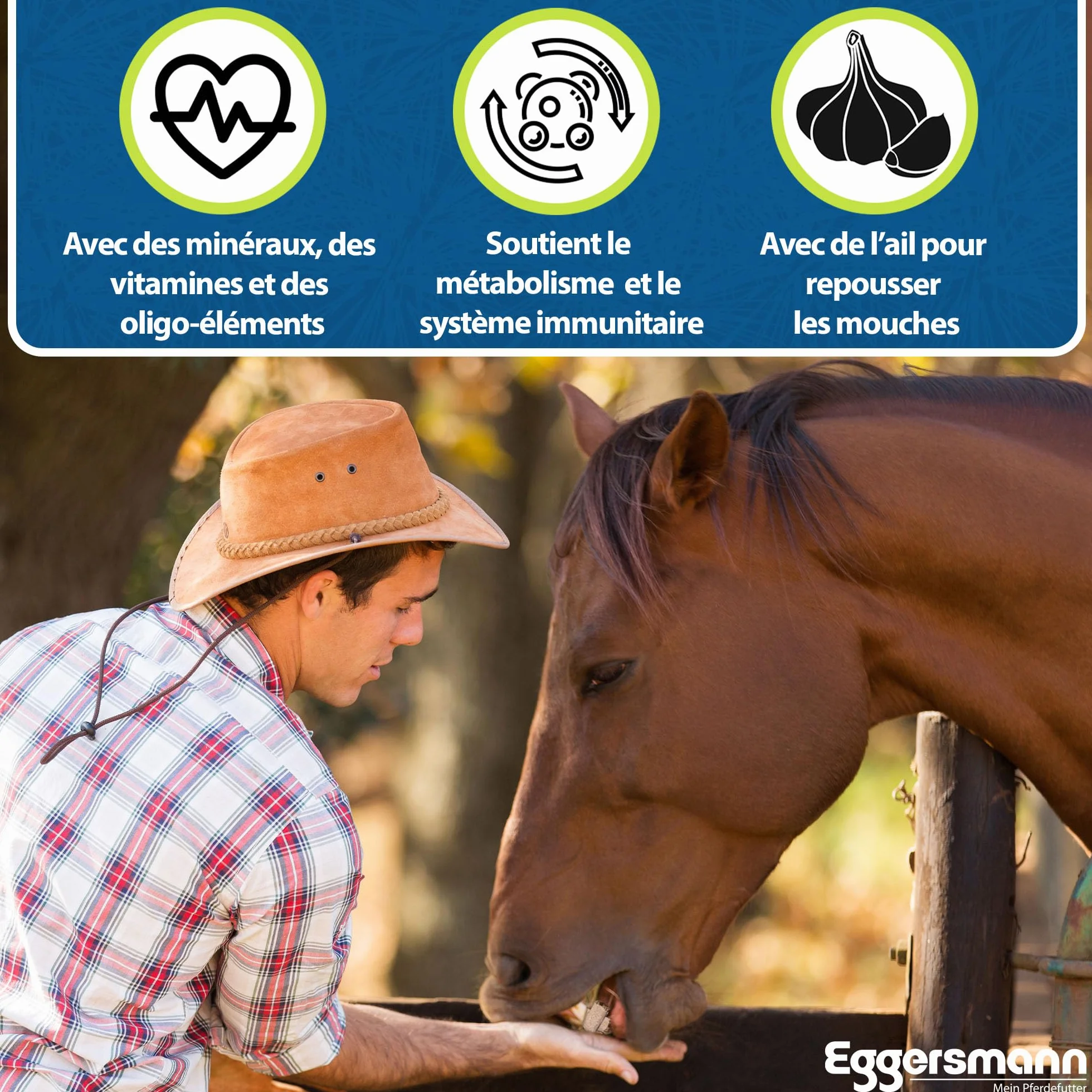 Eggersmann Briques enrichie aux minéraux pour cheval Ail 25 kg