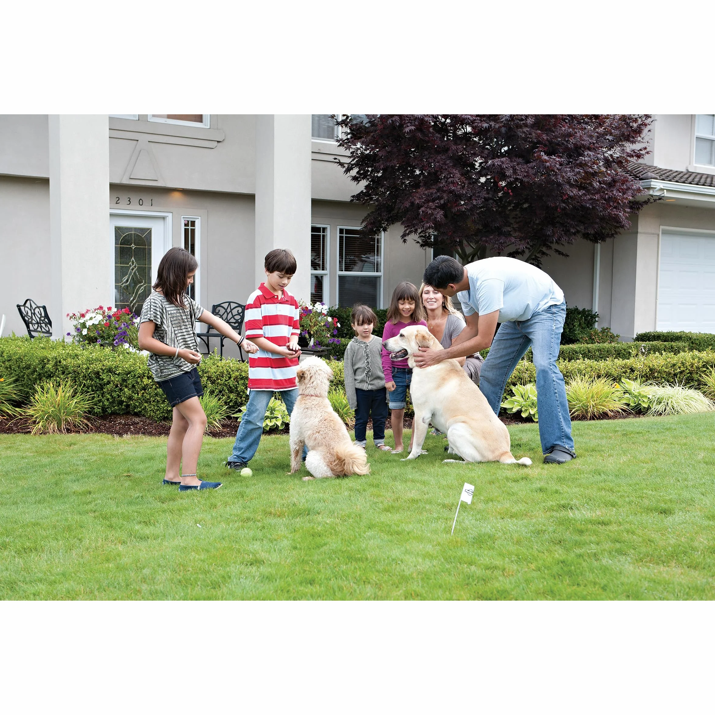 Petsafe Collier Anti-Fugue Deluxe pour Chien avec Fil, Léger, 4 Niveaux Stimulation, Mode Signal Sonore, Résistant à la Pluie